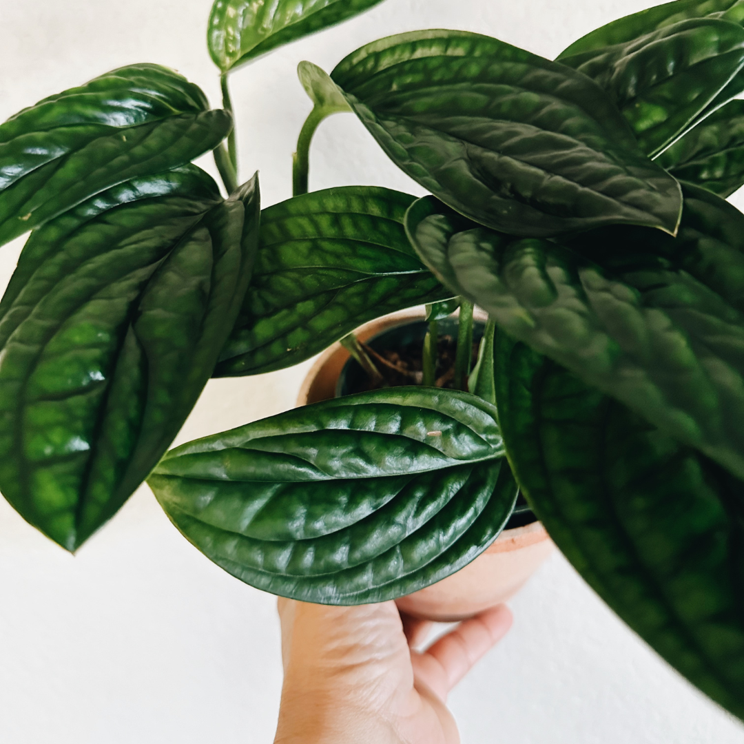 Five Ways To Experience Personal Growth