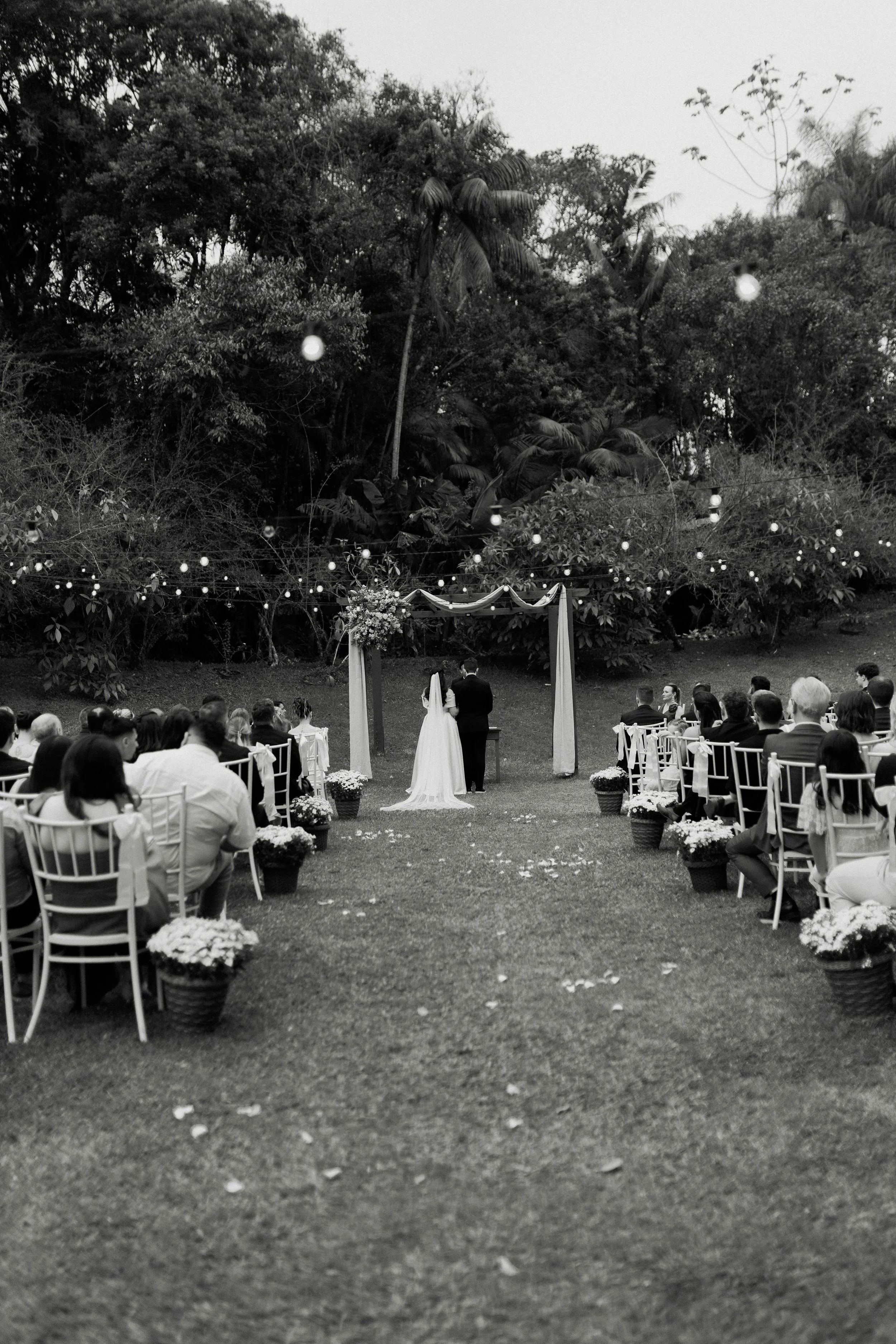 pexels-alexander-mass-748453803-35546898 (1).jpg