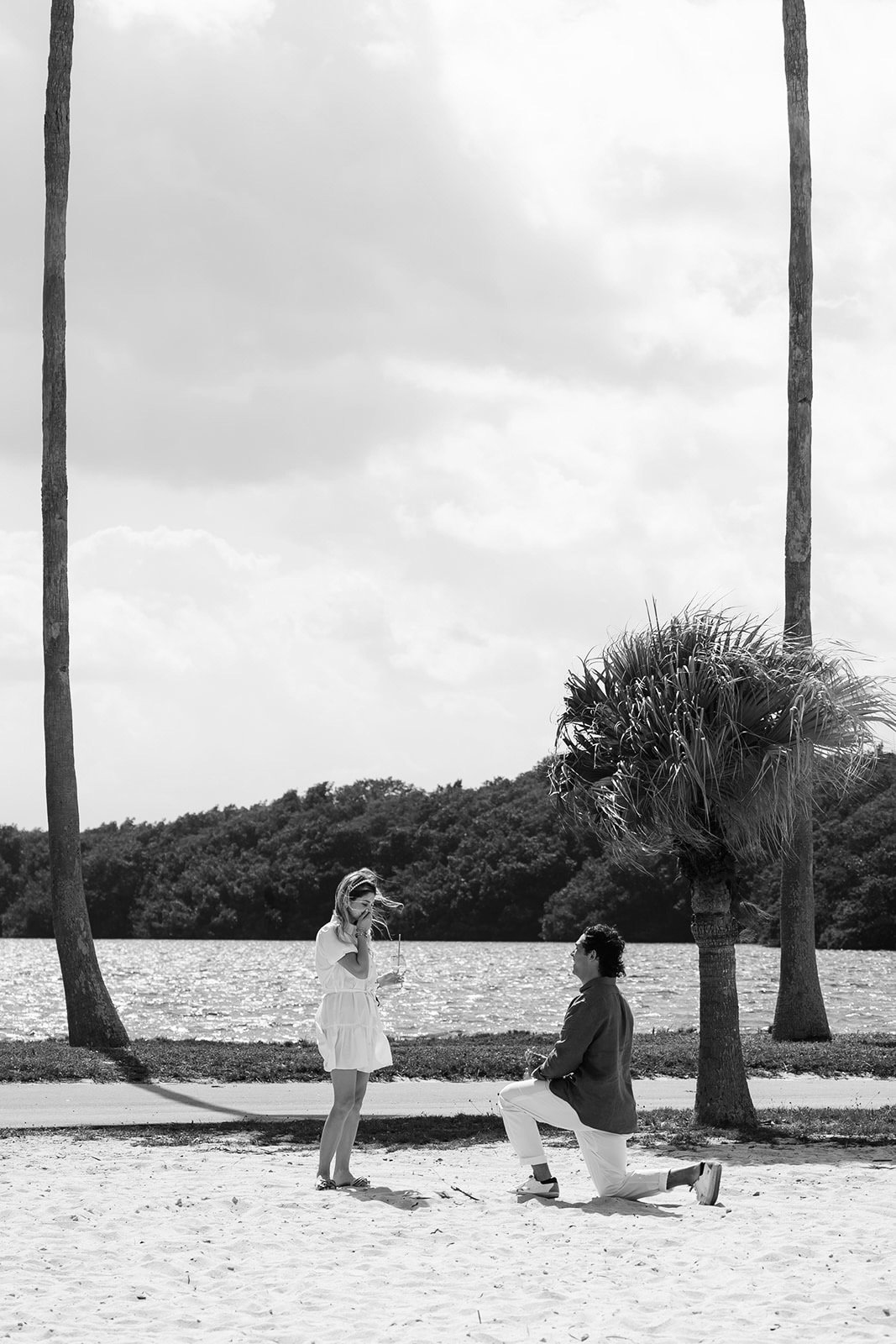 A man proposes to a woman on a beach with the ocean and trees in the background, with palm trees on either side.