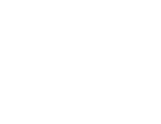 Junk Shot
