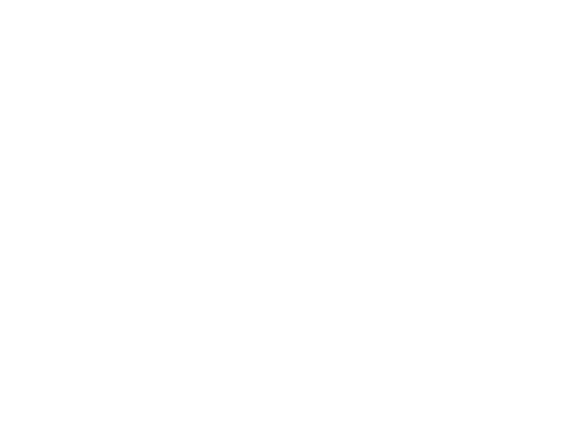 Wealth Financial Life