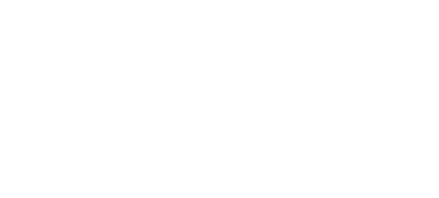 Hyper Networks