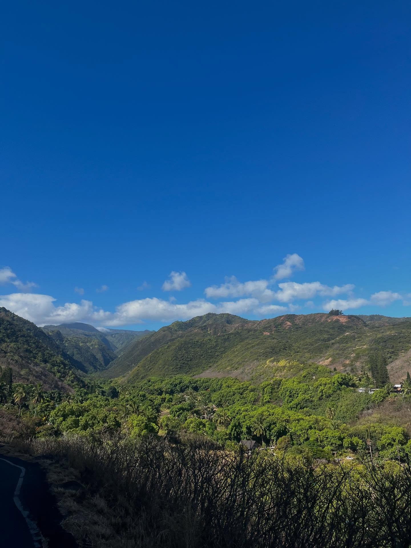 I urge you to search Kahekili Highway on reddit

yeh&hellip; never again.