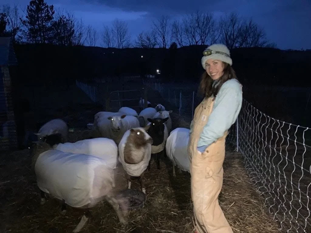 Lambing season at abundancia.jpg