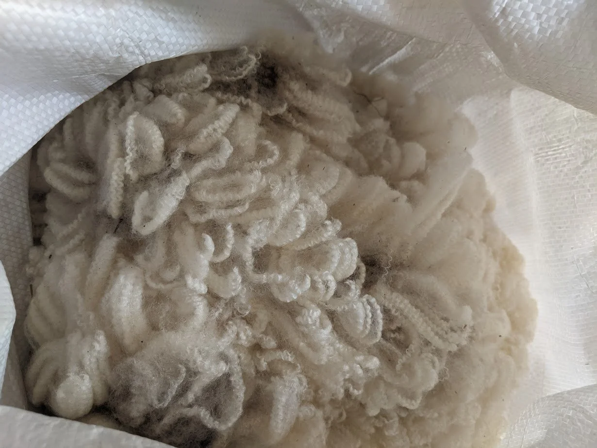 Fiber from Conchita.jpg