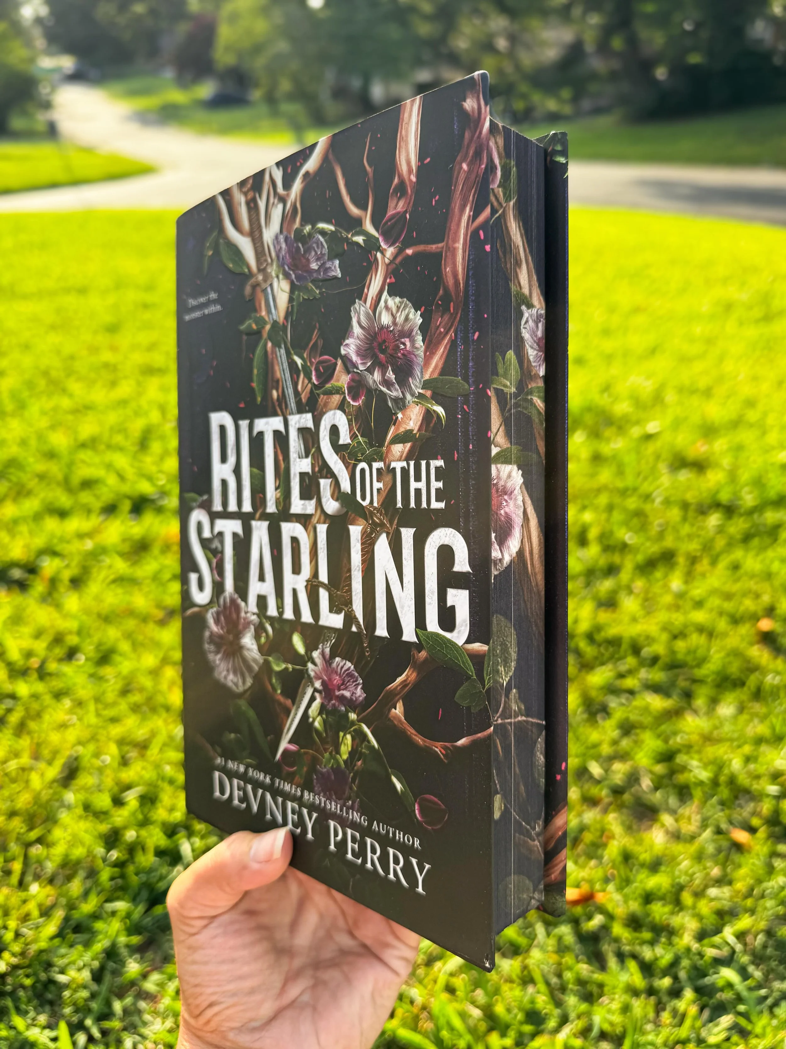 Just call it @devneyperry appreciation day here at The Wandering Page because I just got some art prints and signed bookplates to go with my last 6 copies of the Deluxe Edition of Rites of the Starling! 

I have 6 of each except for the ship, which I