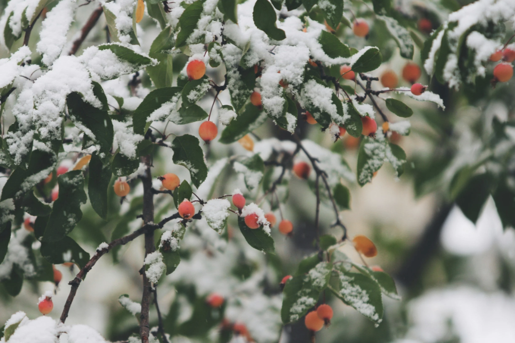 Finding Your Way Through Holiday Emotions.