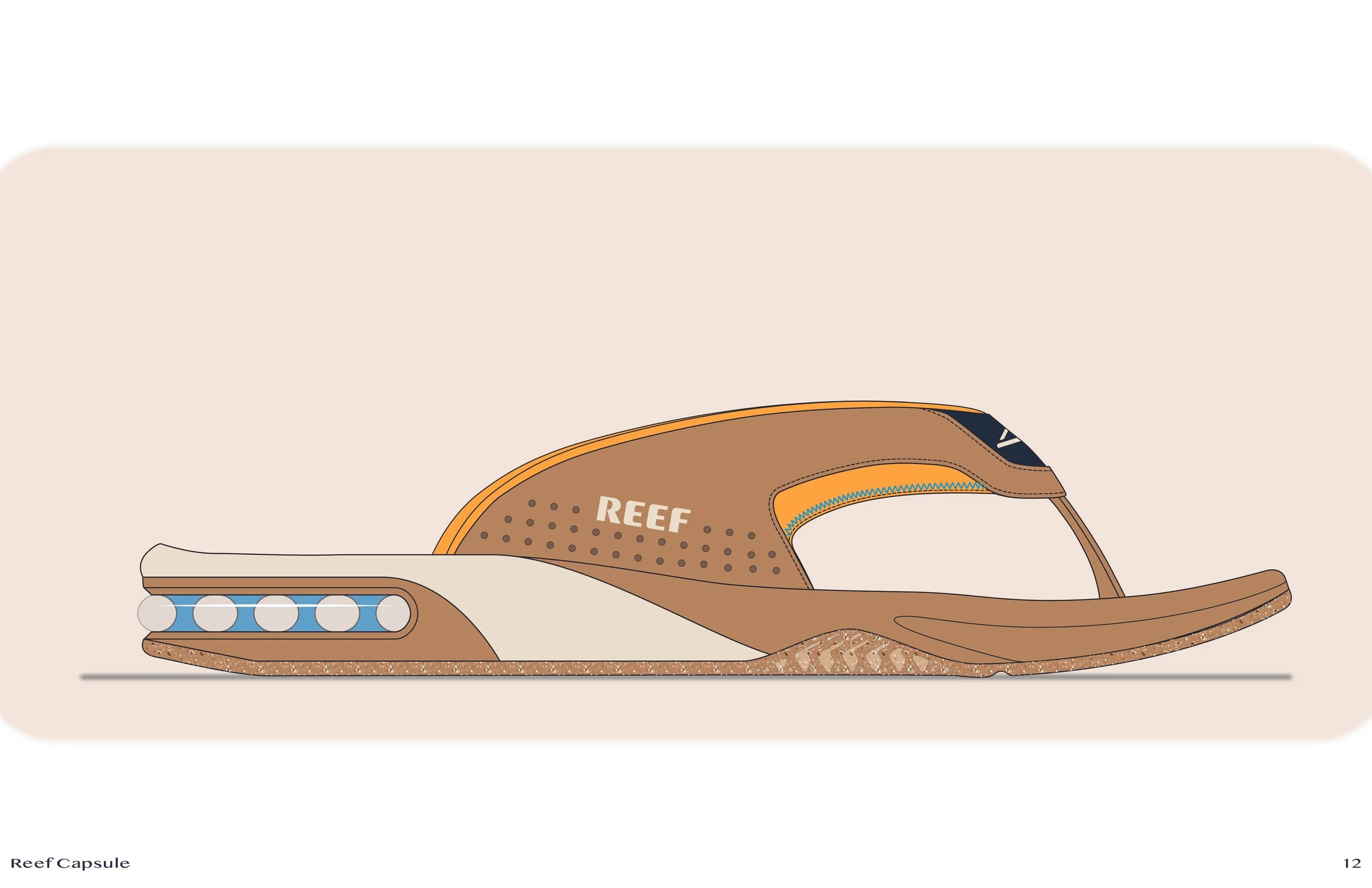 REEF_CAPSULE-13.jpg