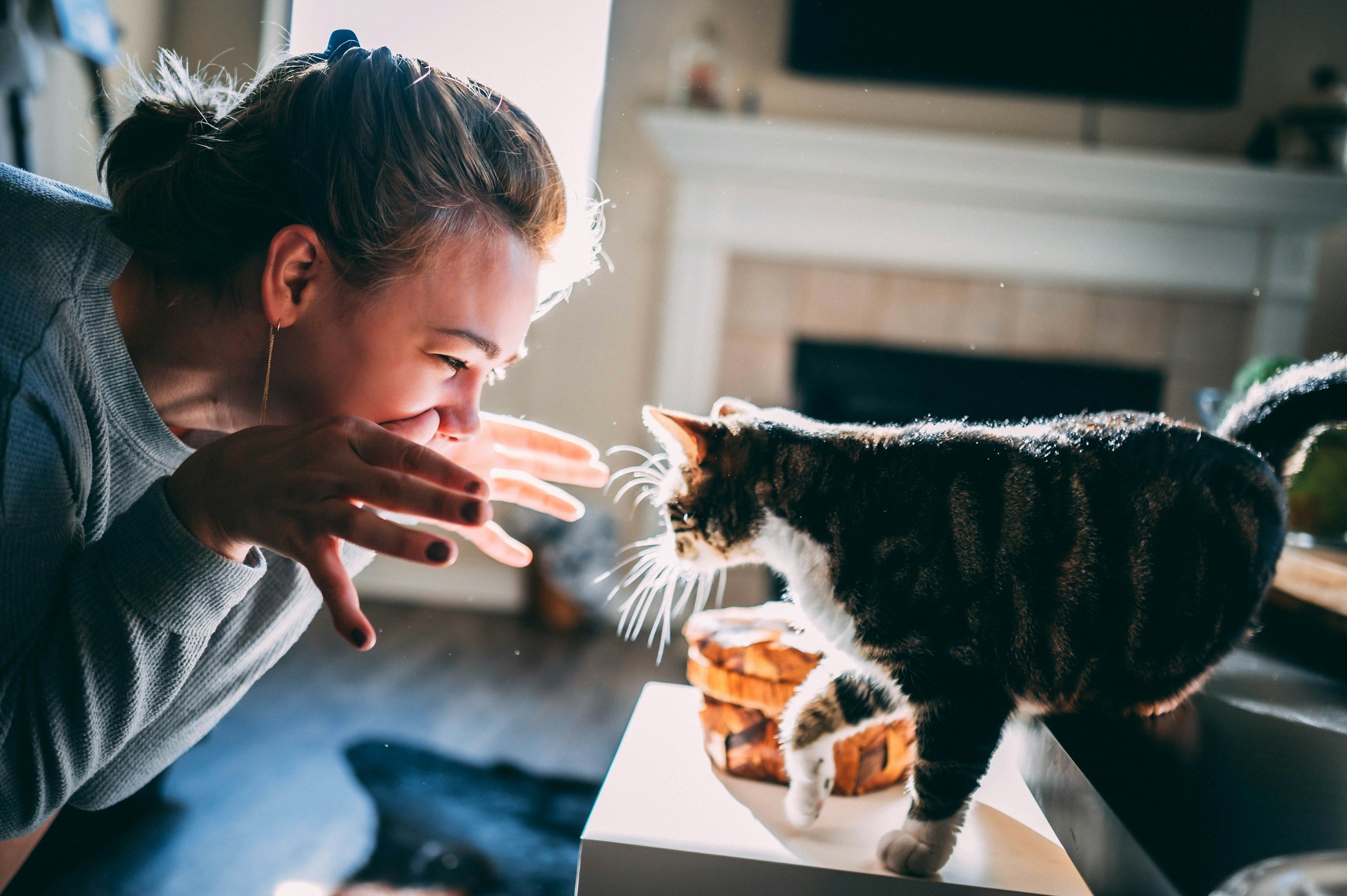 Cats Purr, Humans Hum: The Science of Vibration and Nervous System Healing