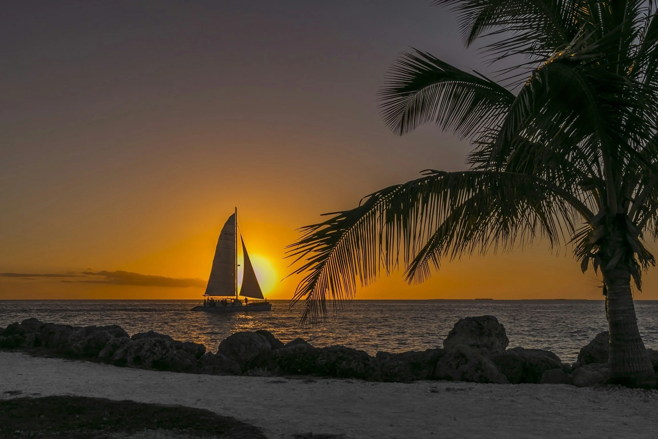 Sunset over the ocean with a sailboat and a palm tree in the foreground.