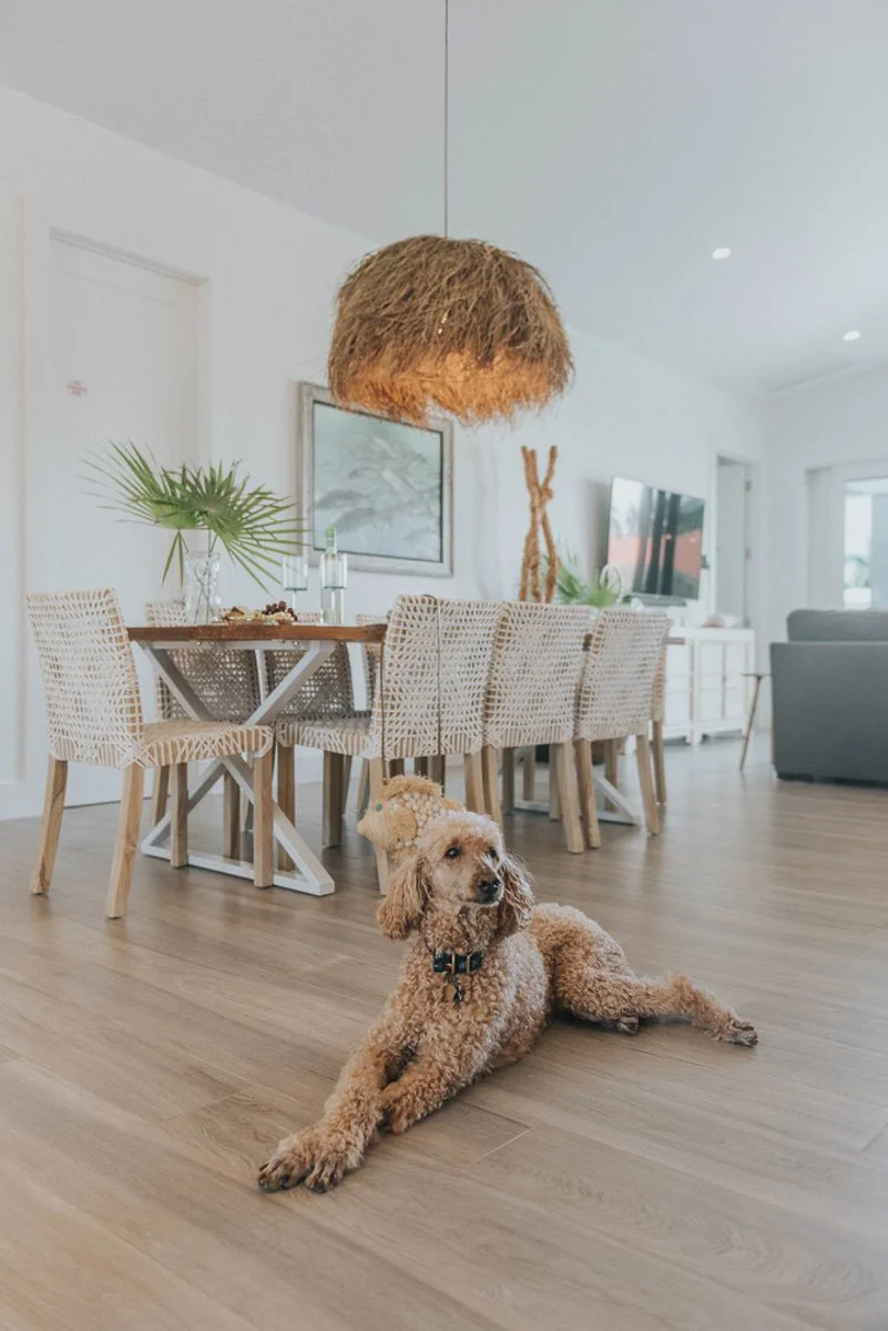 A small, curly-haired dog lying on a wooden floor in a modern, well-lit living room and dining area. The dog is positioned in the foreground with a dining table and chairs behind it. The room has white walls, decorative artwork, a large television, a