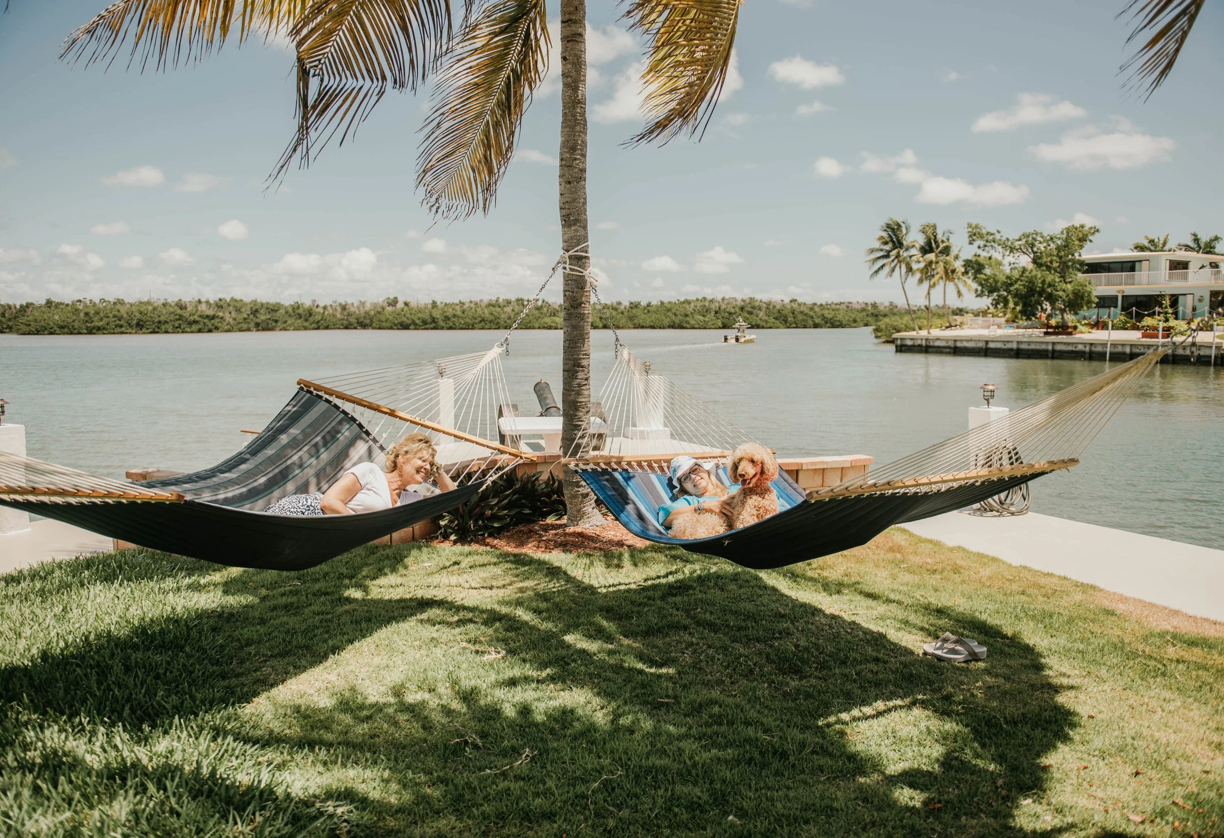 Two women relaxing in hammocks by the water under a palm tree, with a pet dog lying on one of the hammocks