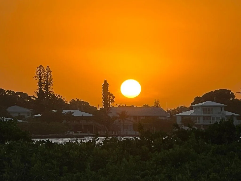 Sunset over houses and trees with an orange sky.