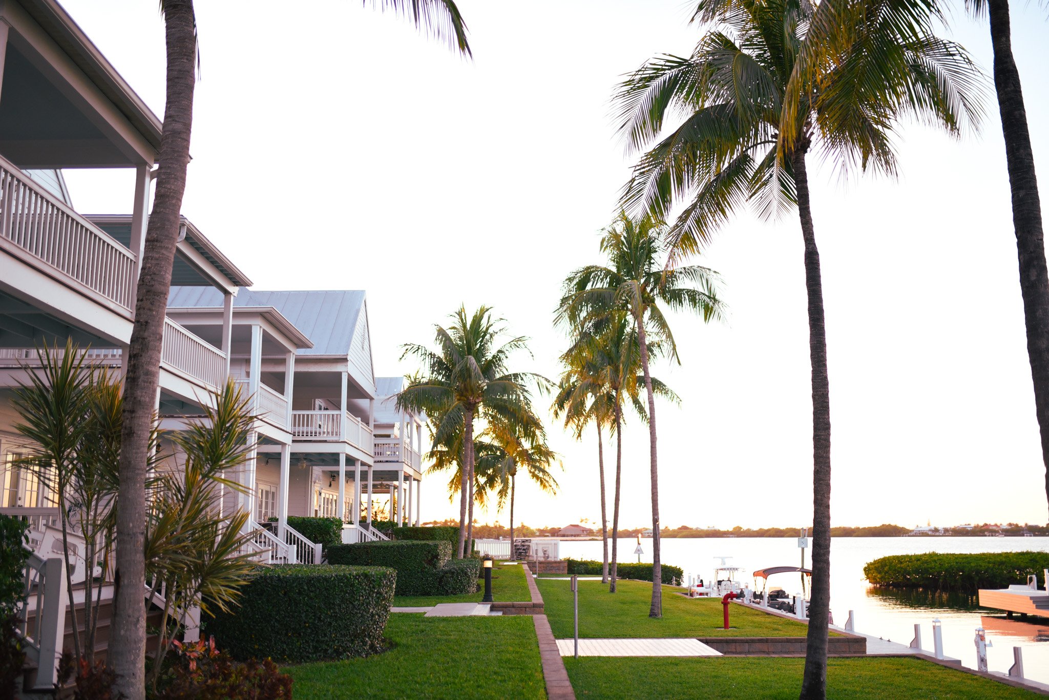 A waterfront view of residential buildings with white balconies, palm trees, manicured lawn, and a dock on a sunny day.