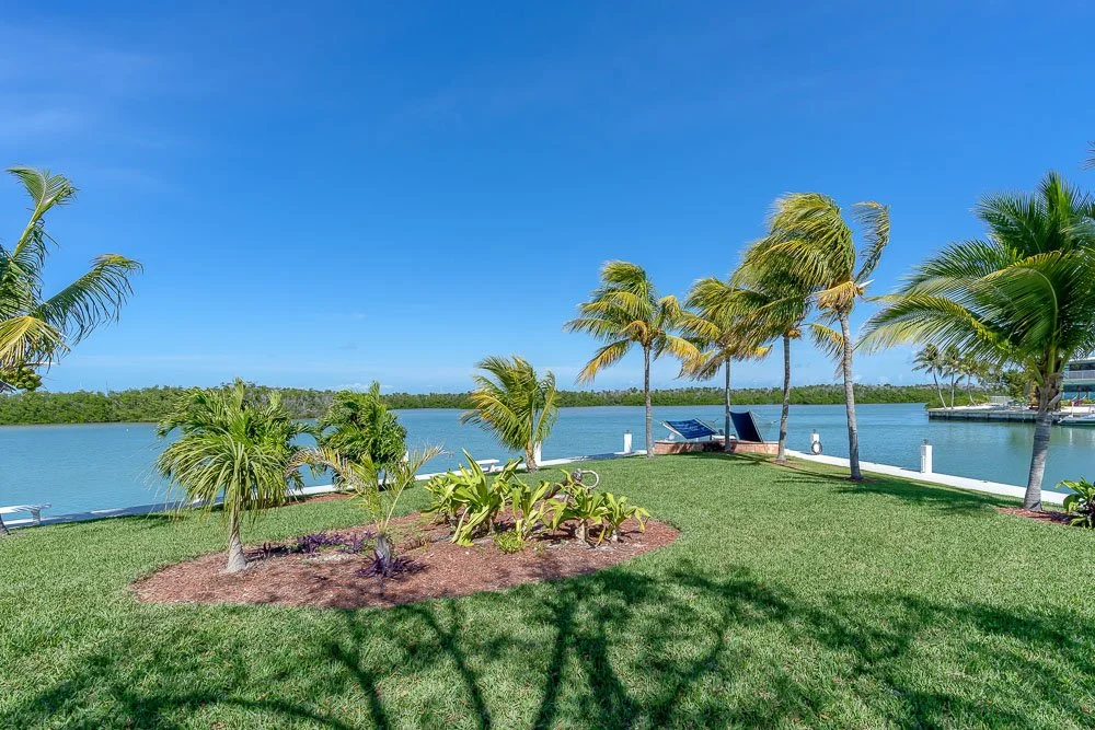 Tropical waterfront scene with palm trees, green grass, and a clear blue sky over calm water, with a small dock and lounge chairs.