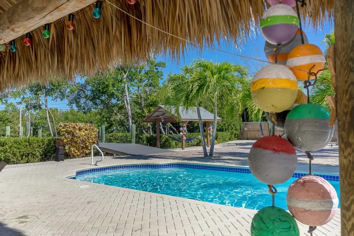 A tropical swimming pool scene with clear blue water, surrounded by a paved deck, green palm trees, and lush bushes. A thatched roof hut is visible in the background. Decorative painted balls hang from a string in the foreground.