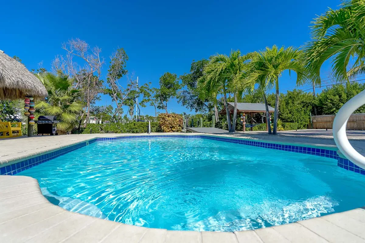 Clear blue swimming pool surrounded by tropical palm trees and a thatched roof structure under a bright blue sky.
