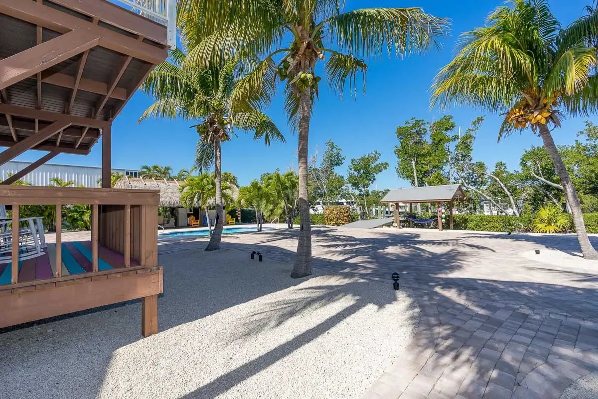 A tropical backyard with tall palm trees, a paved pathway, and a swimming pool area in the background, under a clear blue sky.