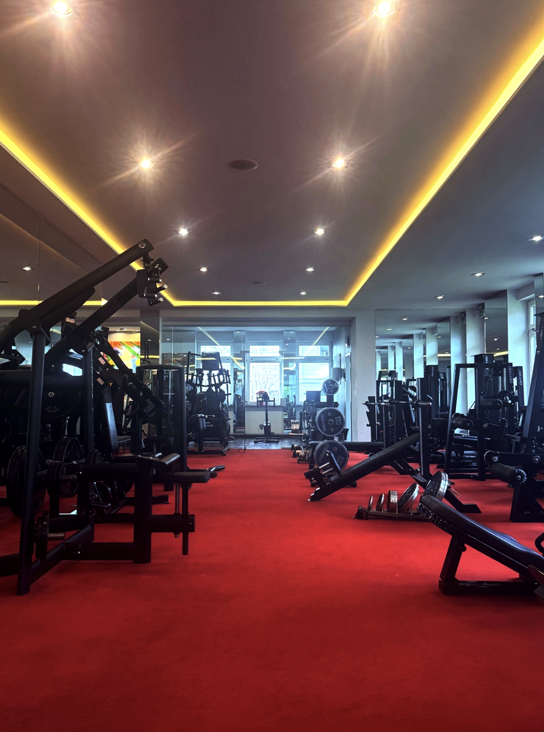 Empty gym with red carpet flooring, black exercise equipment, and a row of windows at the back letting in natural light.