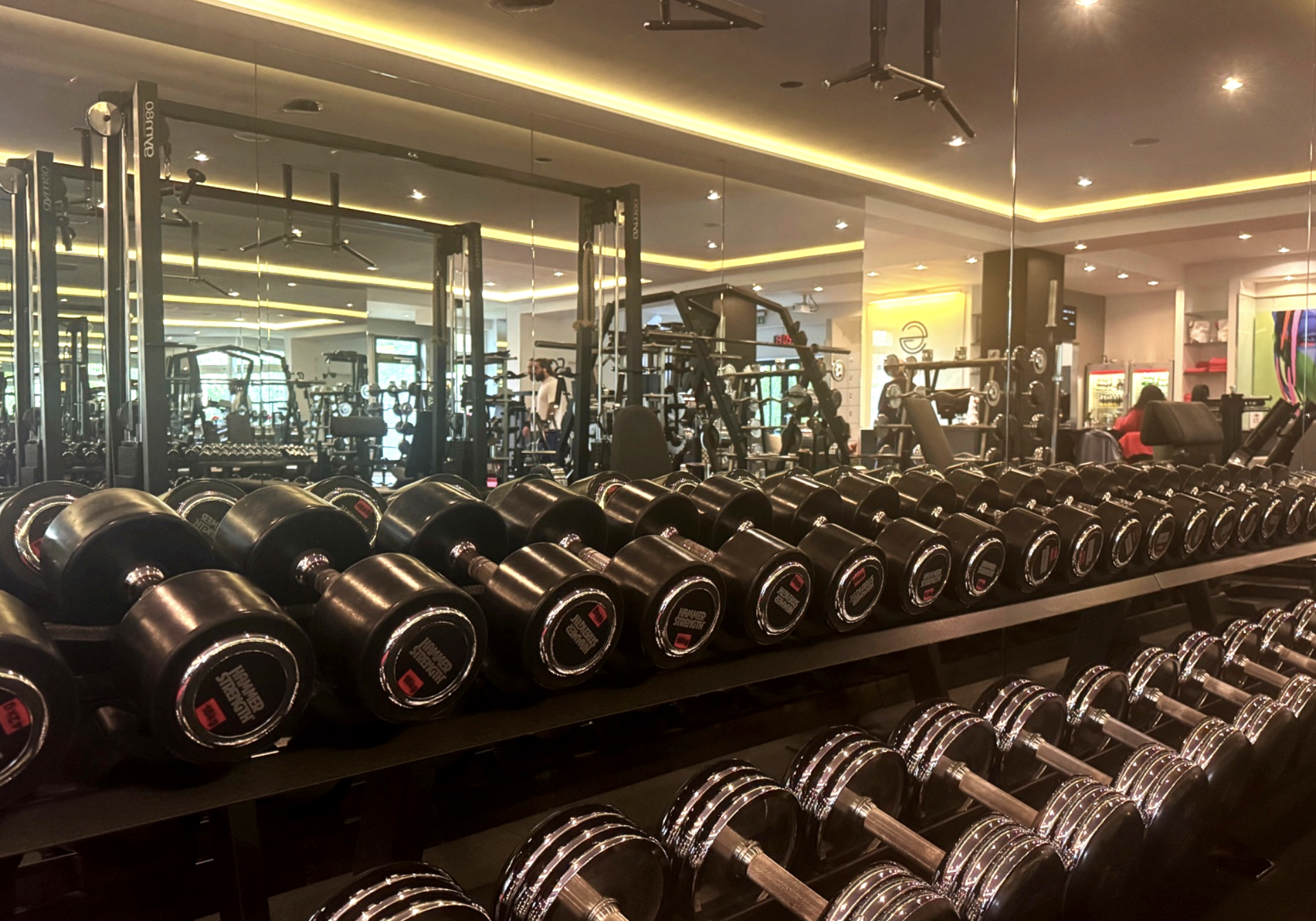 Dumbbells of various sizes and weights on a rack in a modern gym, with a mirror and other exercise equipment visible in the background.