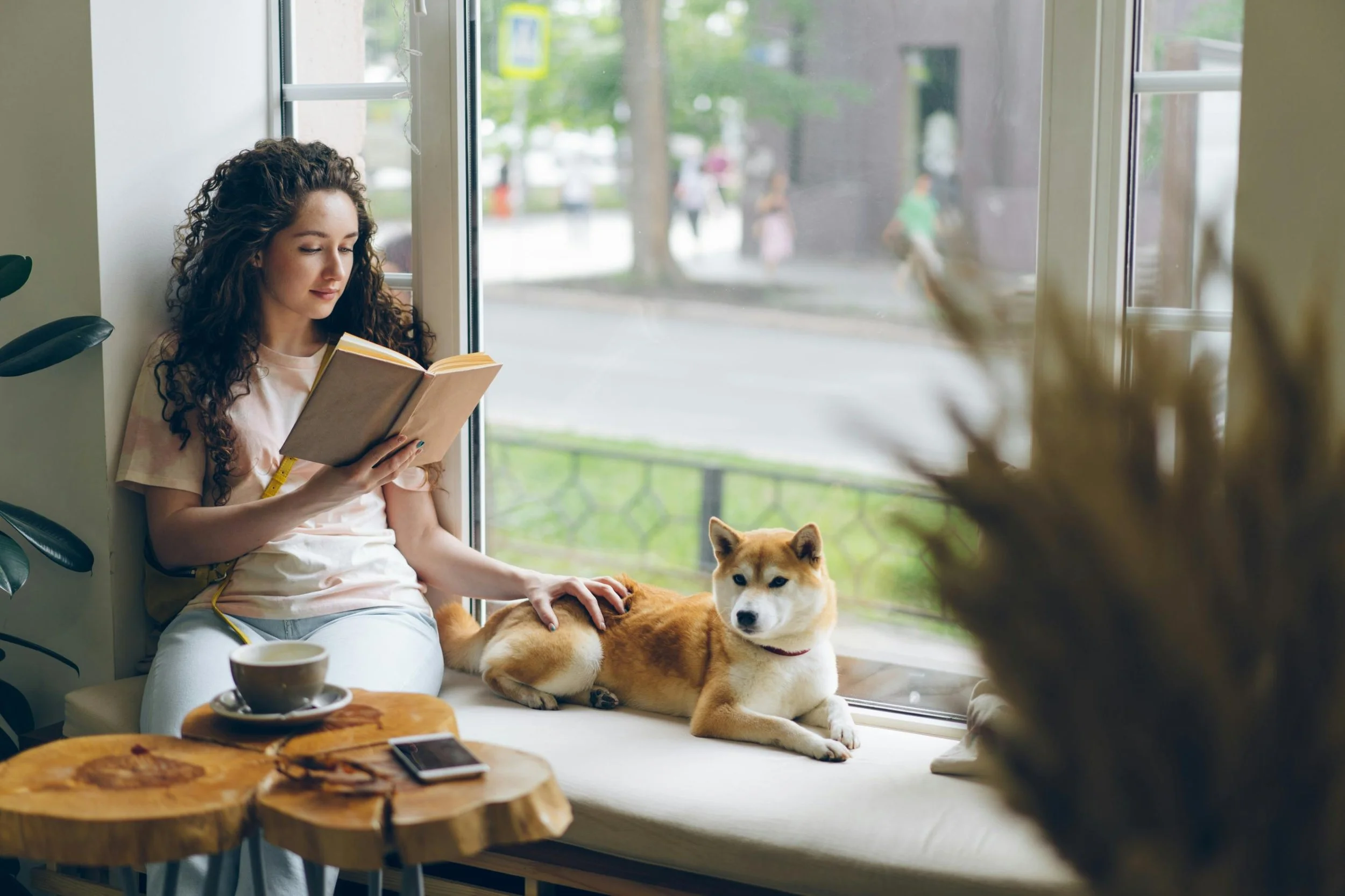 Relaxed woman sitting in a bay window reading a book with one hand and petting her dog with the other