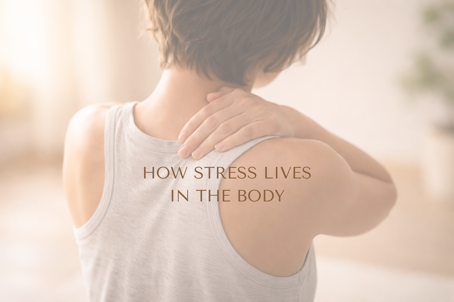 How Stress Lives in the Body &amp; Why Your Body Has Been Protecting You All Along
