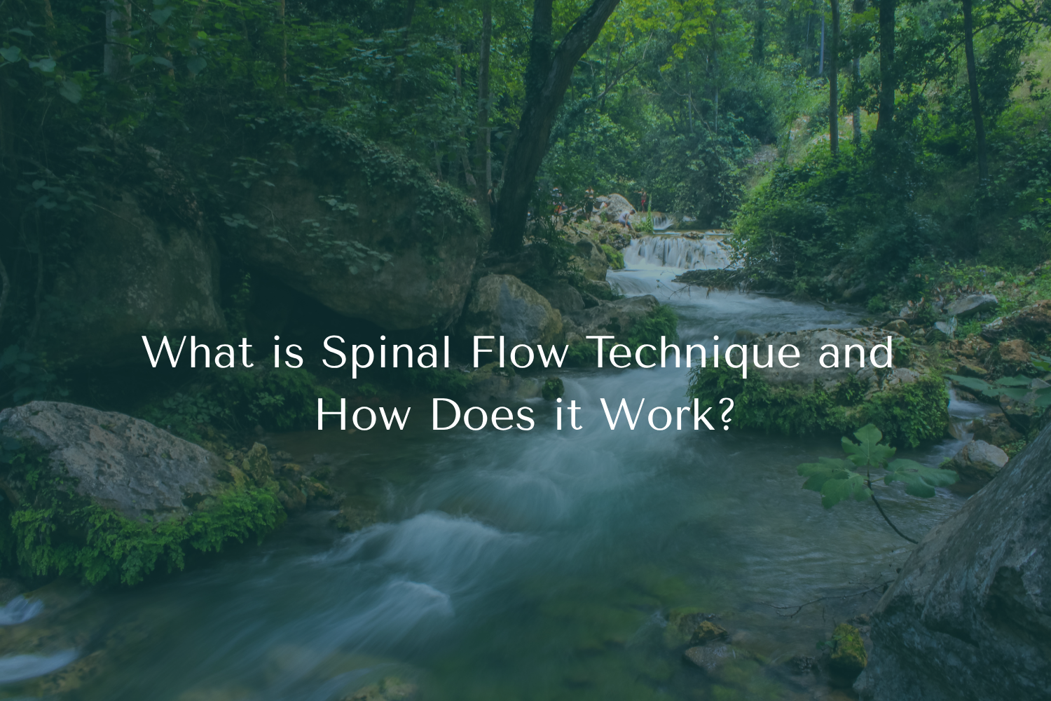 What is Spinal Flow Technique and How Does it Work?