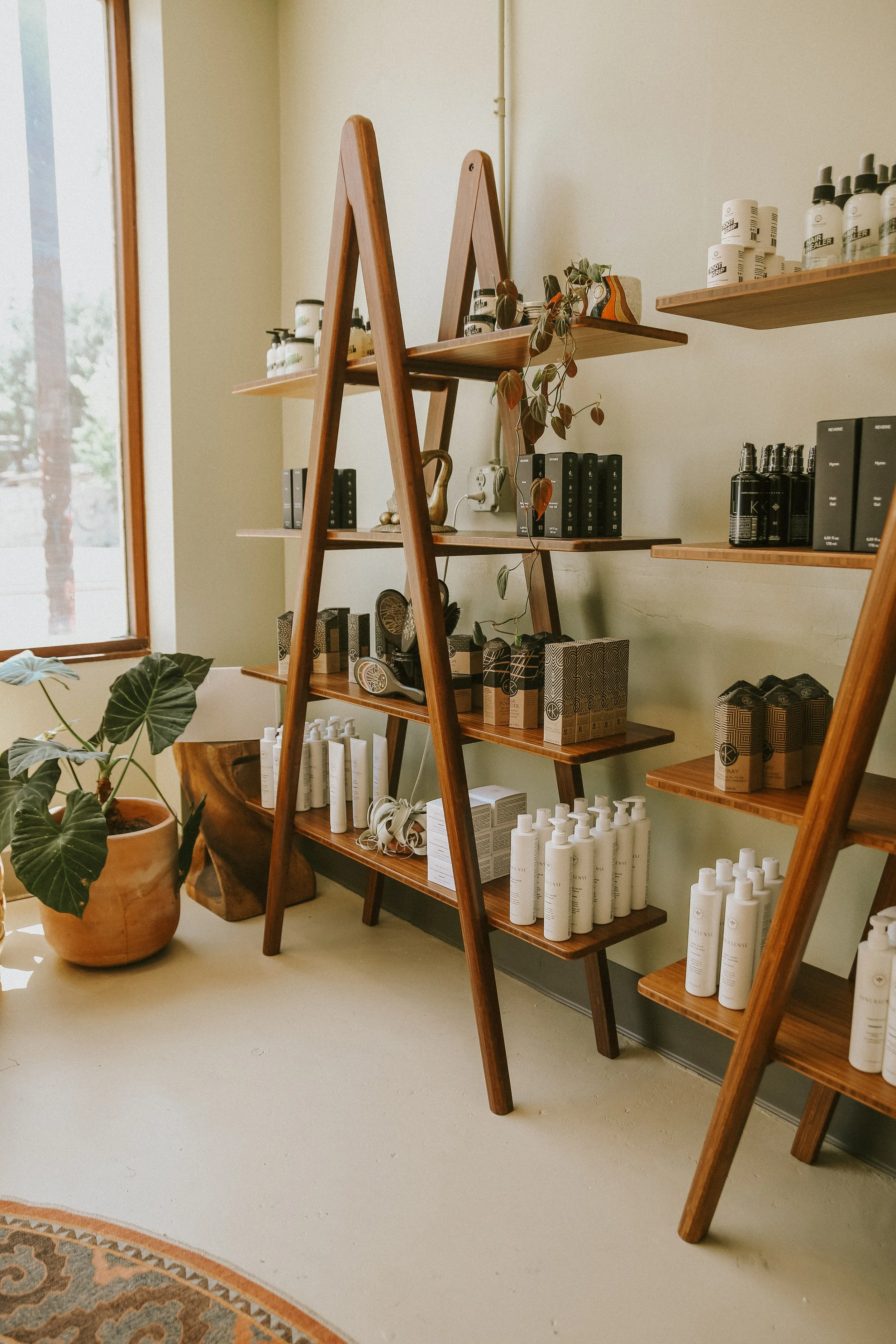 Wooden shelves with hair products, a large potted plant, and a window letting in natural light.