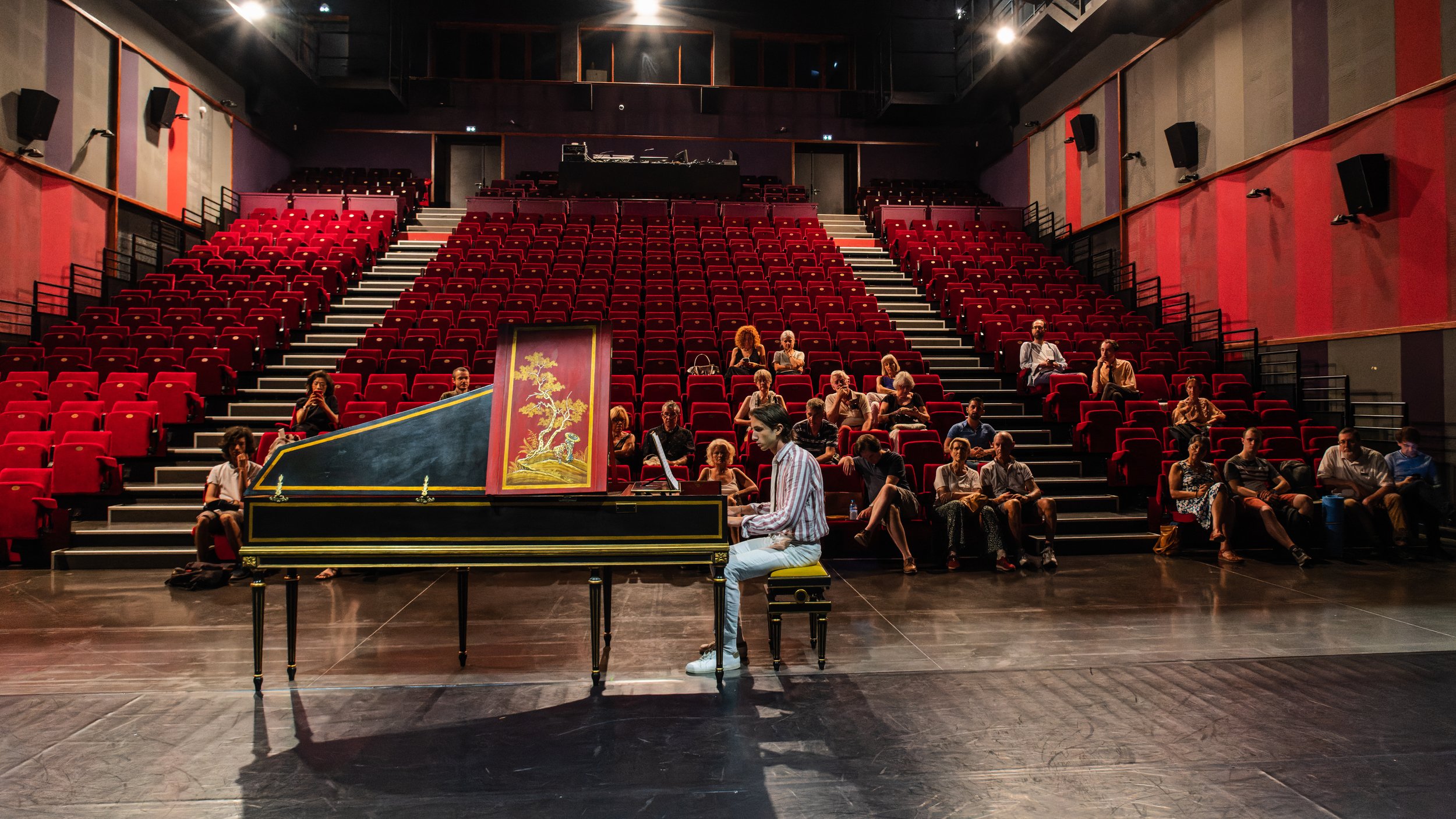 Un pianiste jouant sur un piano à queue dans une salle de théâtre avec un public assis dans les sièges rouges.