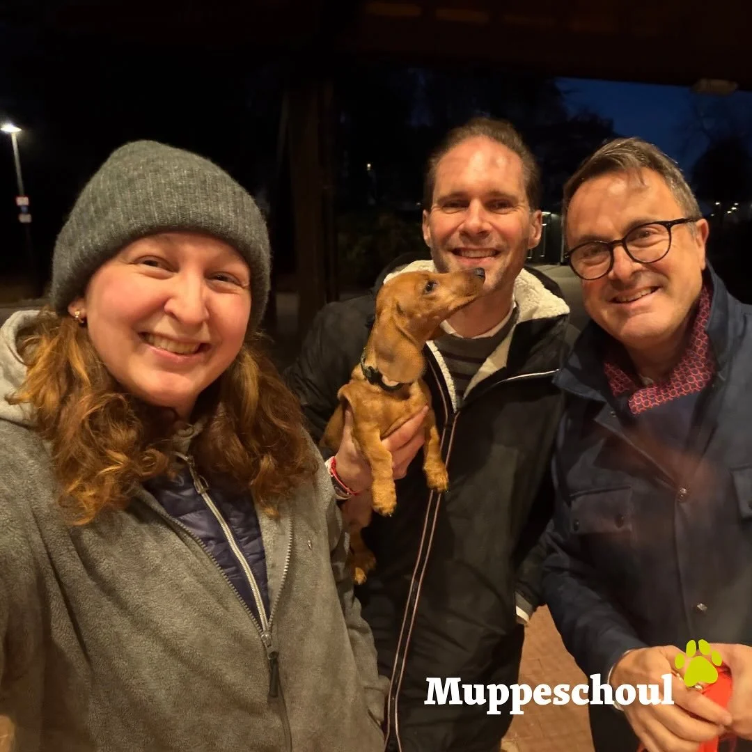 Negotiating Treat-ies. 🍪
Progress report: The teckel is winning 😋🐾💙

@xavier.bettel @gauthierdestenay