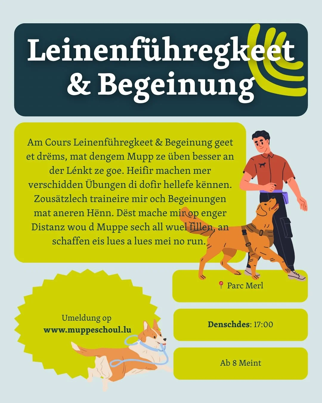 All d Informatiounen zum Cours Leinenf&uuml;hregkeet &amp; Begeinung! Den neisten Cours um Programm, deen perfekt ass fir all di Muppen di geare vergiessen wei dat mat der L&eacute;ngt schon mei geet, an och fir dei Muppe bei deenen aner H&euml;nn fi