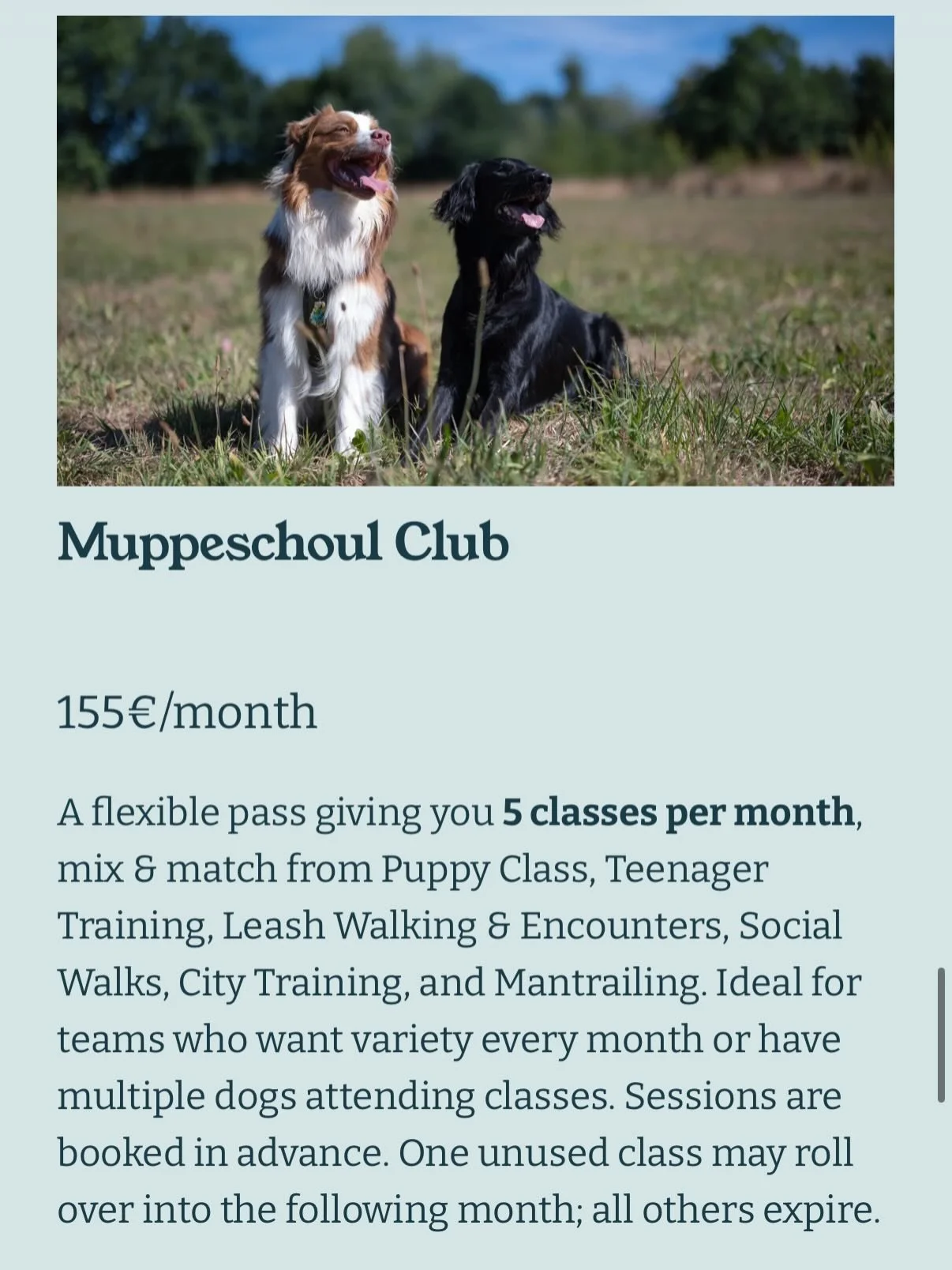 Nei op der Webs&auml;it ✨

Dr&auml;i Abonnementer, eng einfach Iddi: regelm&eacute;isseg train&eacute;ieren, manner Stress, m&eacute;i Freed 🐾

Egal ob Mantrailing, Alldagstraining oder eng Kombinatioun vun beidem - mat de neie Muppeschoul-Abonnemen