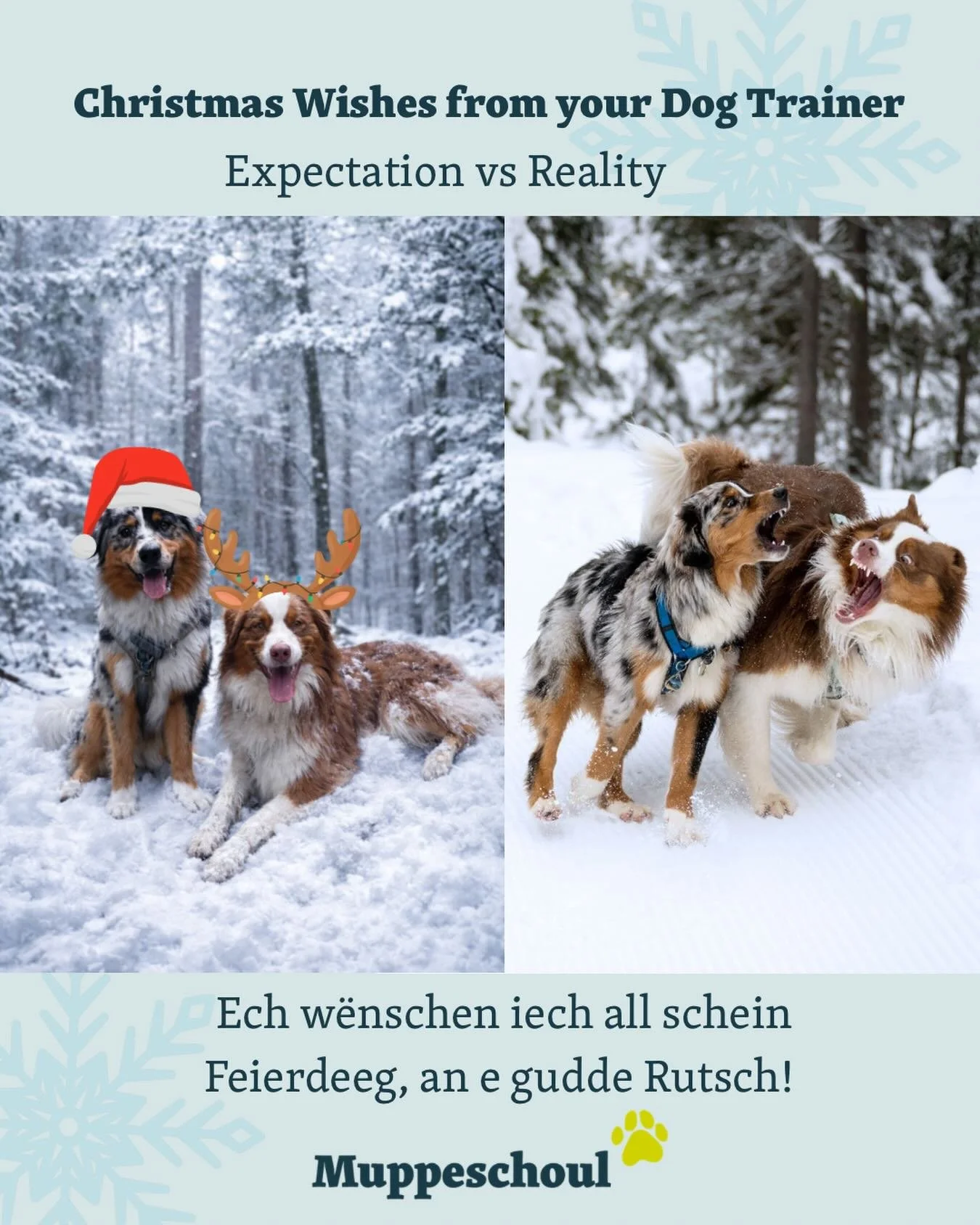 Ech w&euml;nschen Iech an &auml;re Muppen, schein Feierdeeg, an e gudde Rutsch an dad neit Joer! ✨🎉🎄🍾 

Ech sin elo am Cong&eacute; bis den 2. Januar mat. (mat Ausnahm vum Ugly Sweater Walk) 🐾🎄