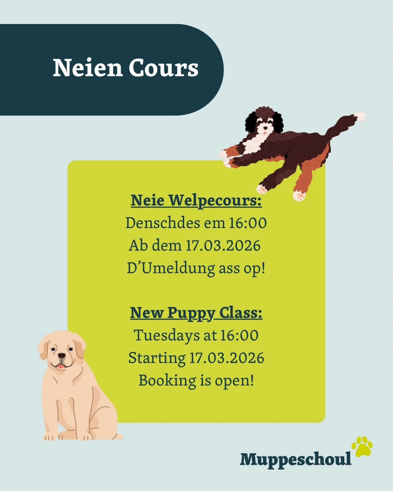 Neie Welpecours! 
 
buchbar op www.muppeschoul.lu !