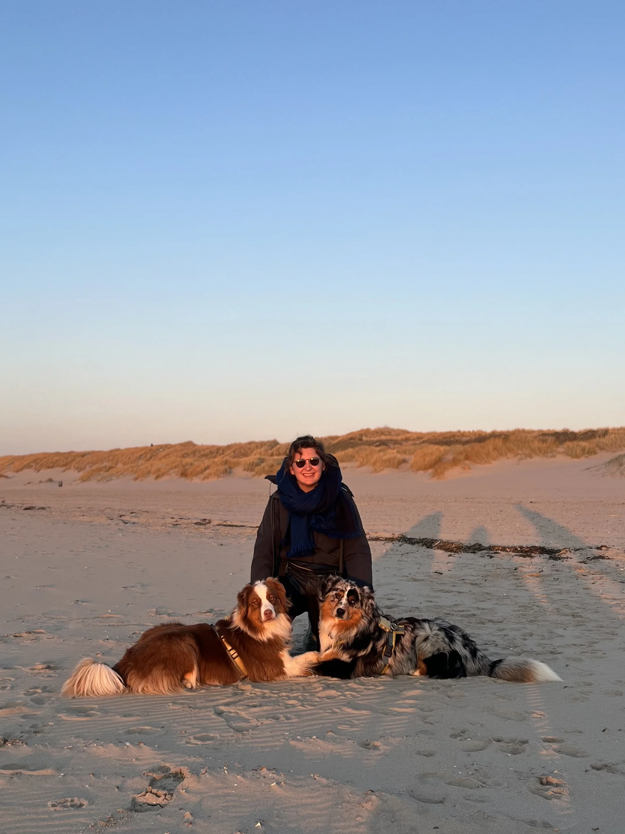 A woman with dark hair and sunglasses smiling on a sandy beach during sunset with two Australian Shepherd dogs lying in front of her.