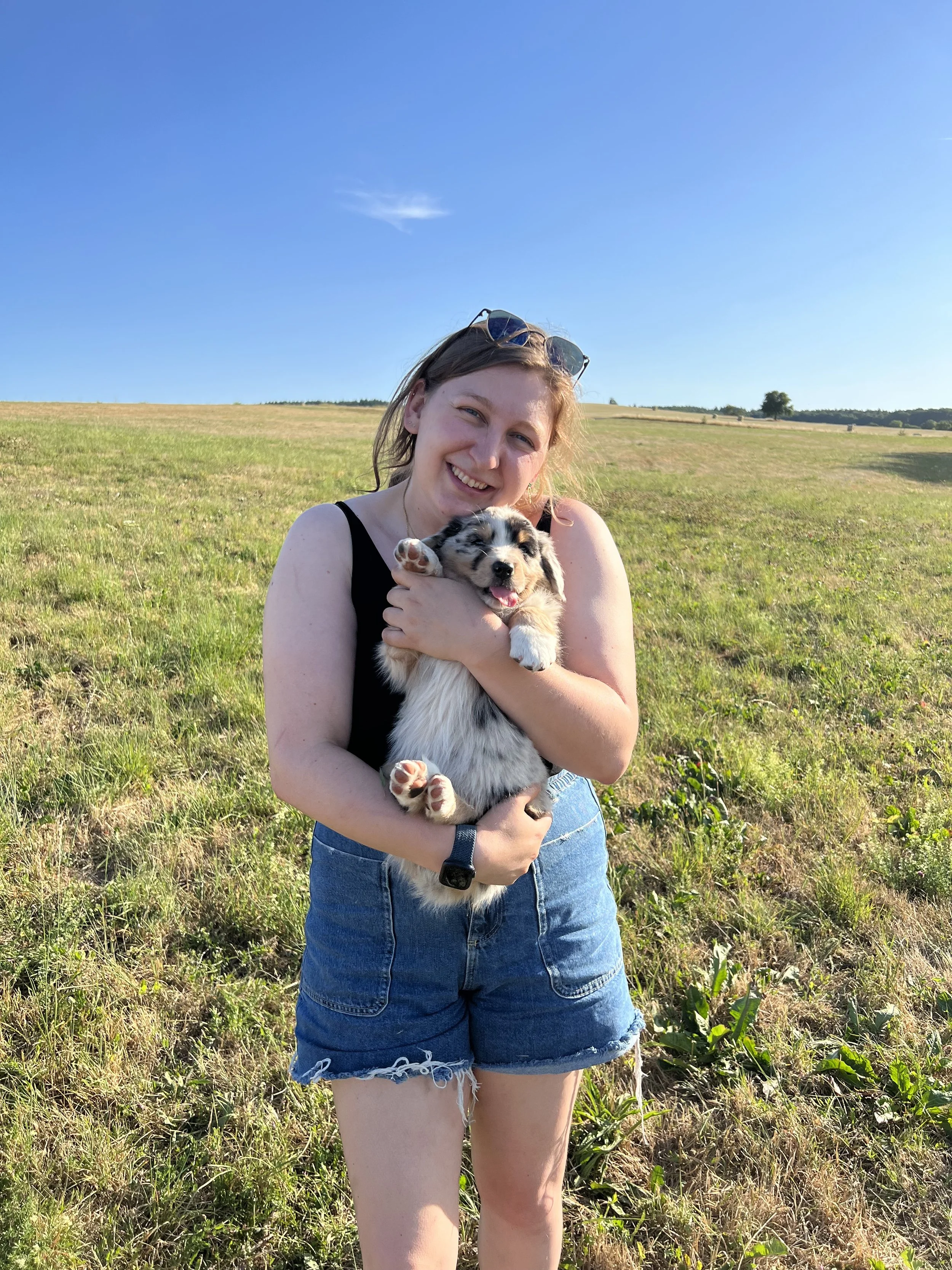 A young woman in a black tank top and denim shorts holding a happy Australian Shepherd puppy in an open grassy field under a clear blue sky.