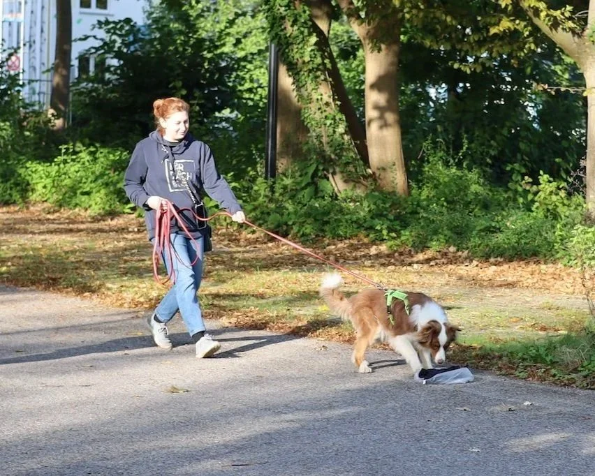 A young woman mantrailing her dog on a leash along a sidewalk in a park or wooded area, with trees and green foliage in the background.