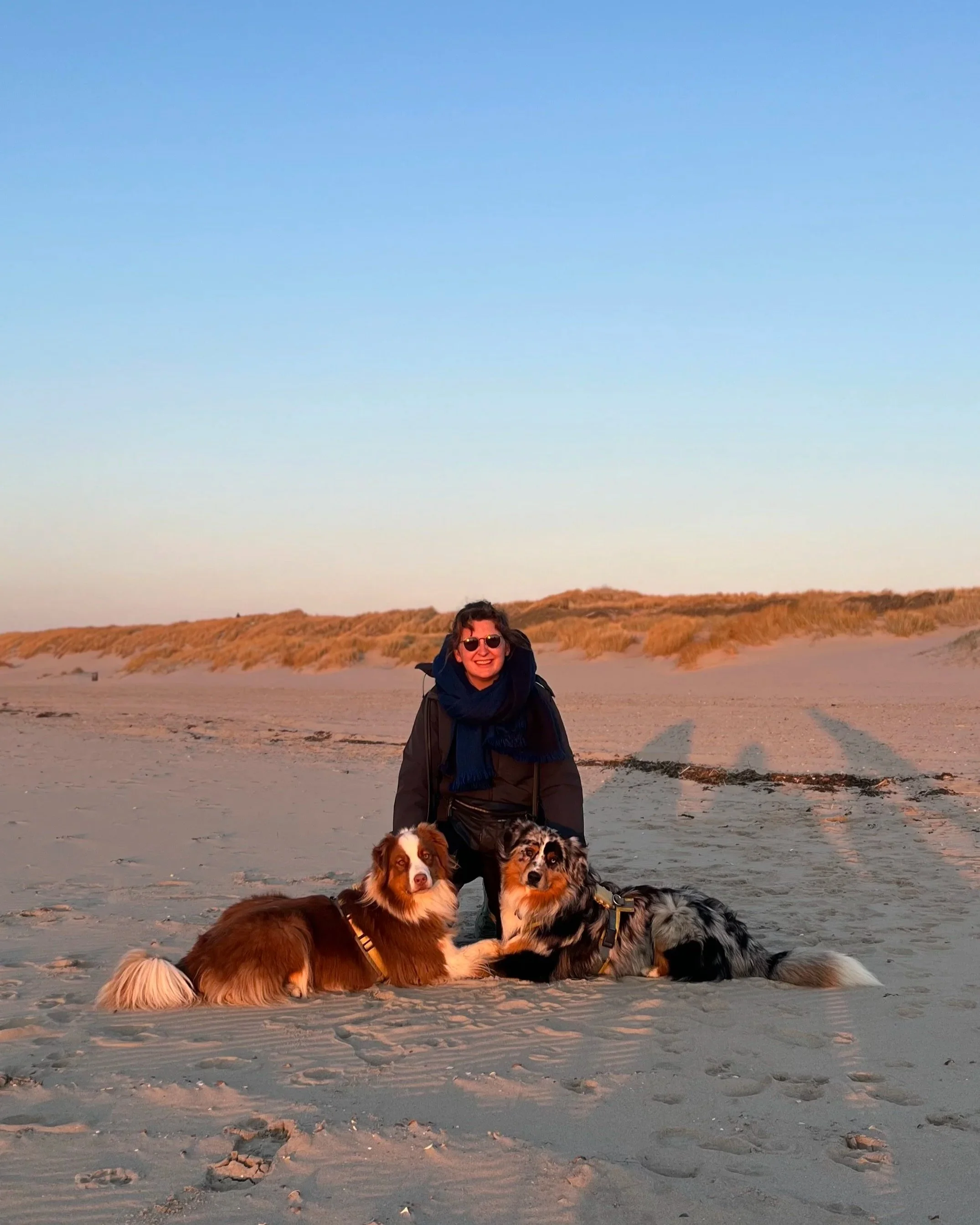 A woman with sunglasses smiling on a beach at sunset, sitting with two Australian Shepherd dogs lying on the sand.