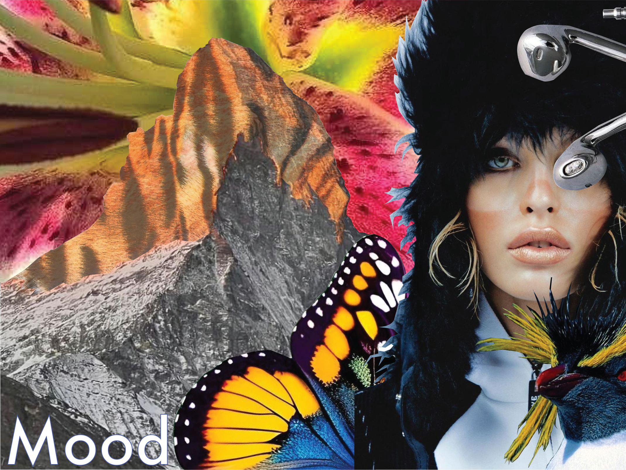 FP Movement Challenge