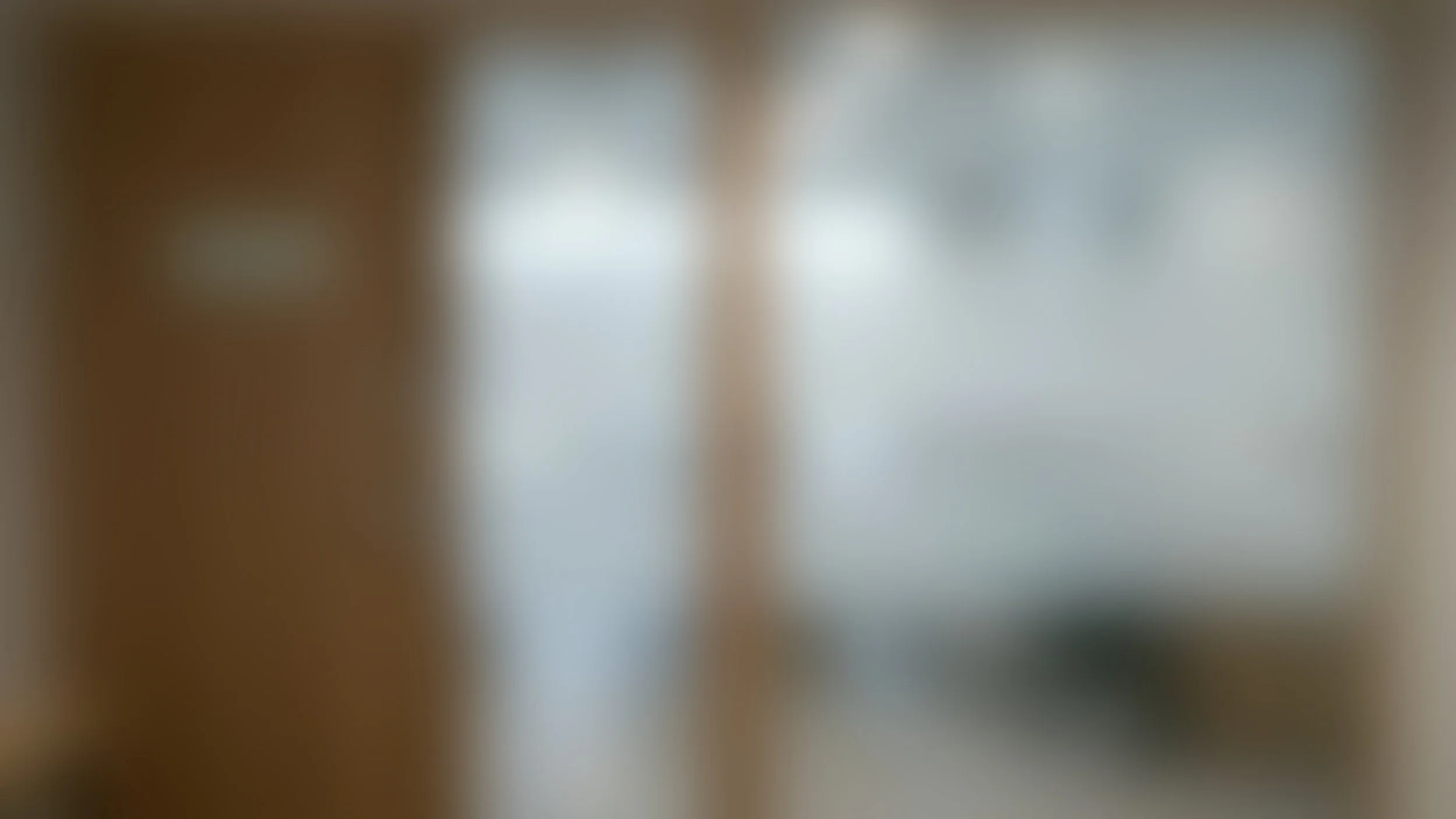 The image is very blurry and indistinct, making it difficult to identify specific objects or details.