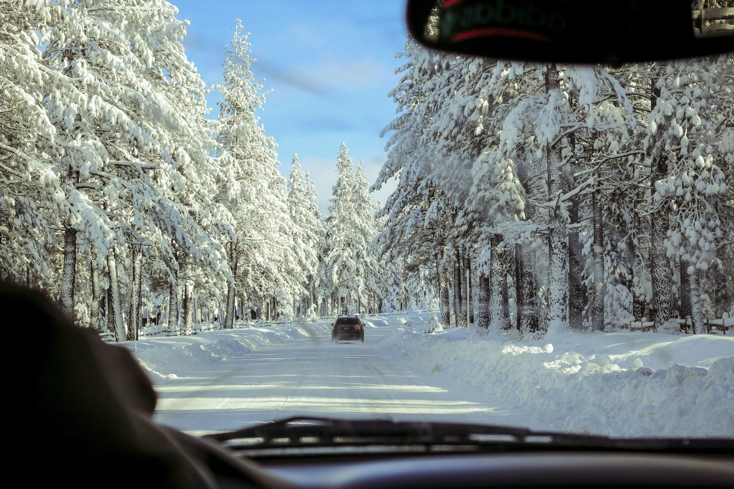 Snow-covered trees lining a snow-packed road, viewed from inside a vehicle with a portion of the dashboard and rearview mirror visible.