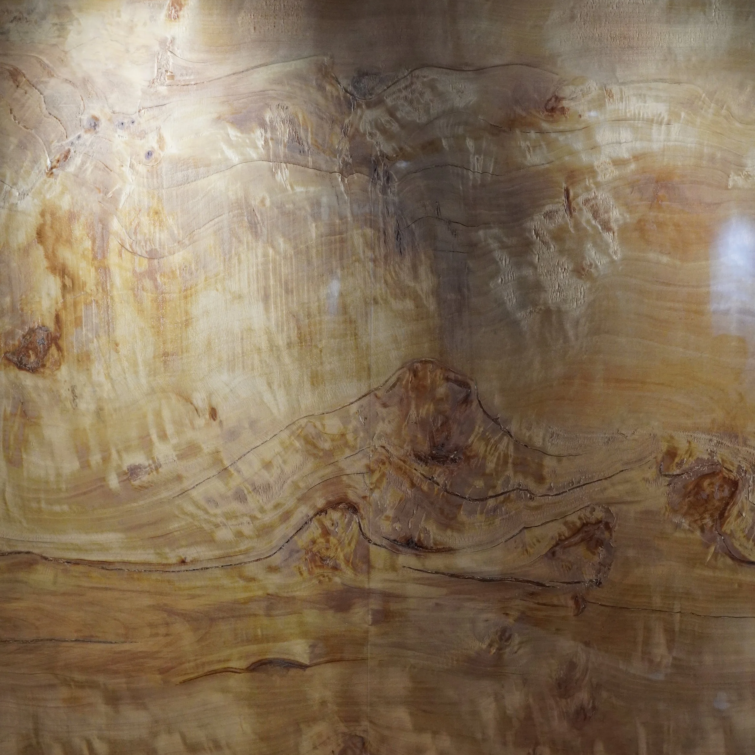 Close-up of a polished wooden surface showing natural wood grain patterns.