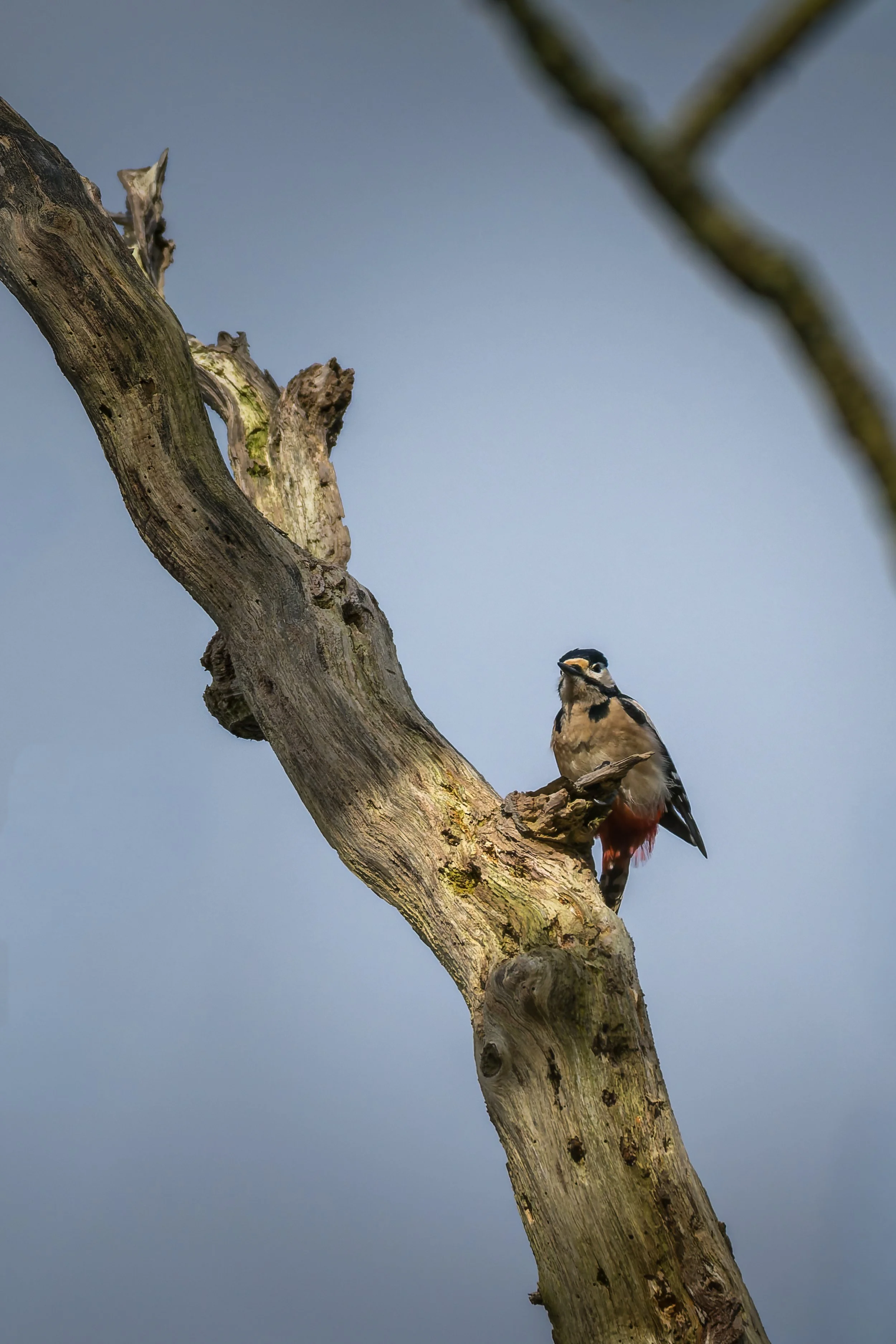 KLO_9673-DxO_DeepPRIME 3.jpg