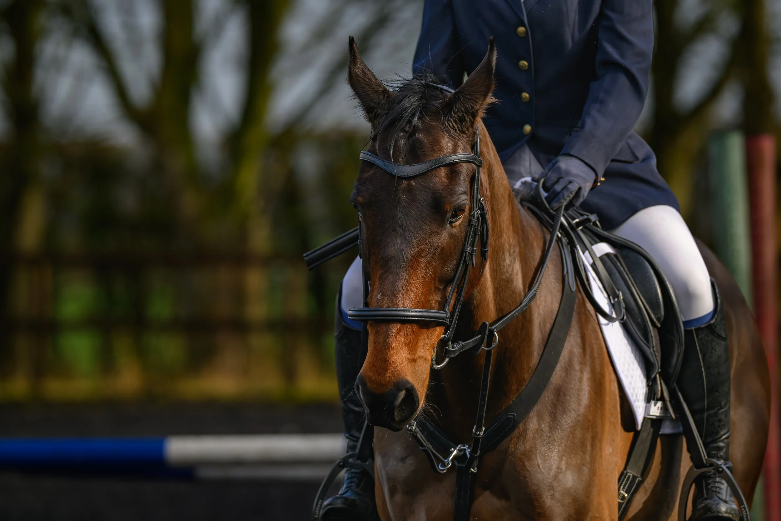 KLO_8562-DxO_DeepPRIME 3.jpg