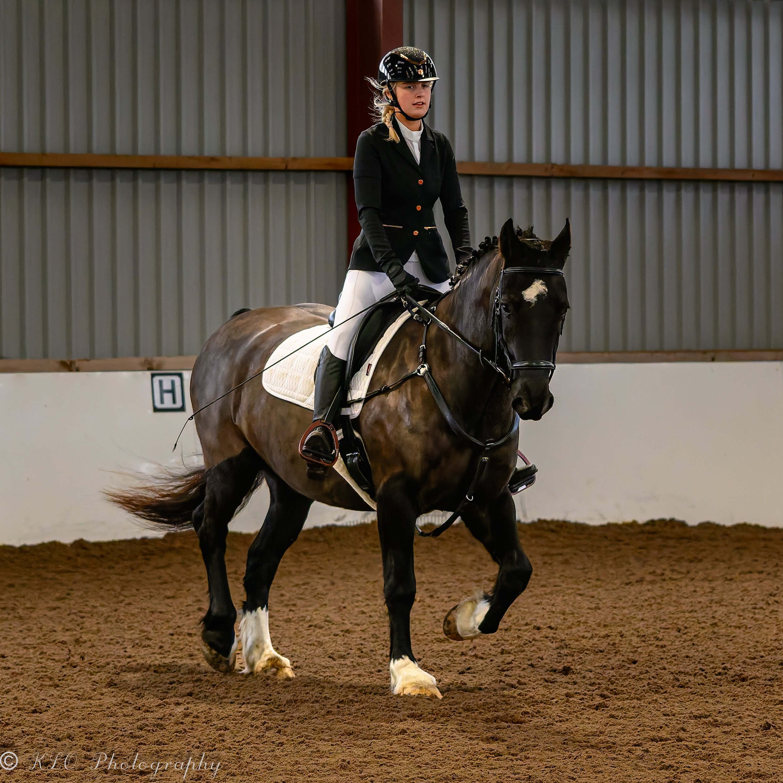 DSC_6774-DxO_DeepPRIME 3.jpg