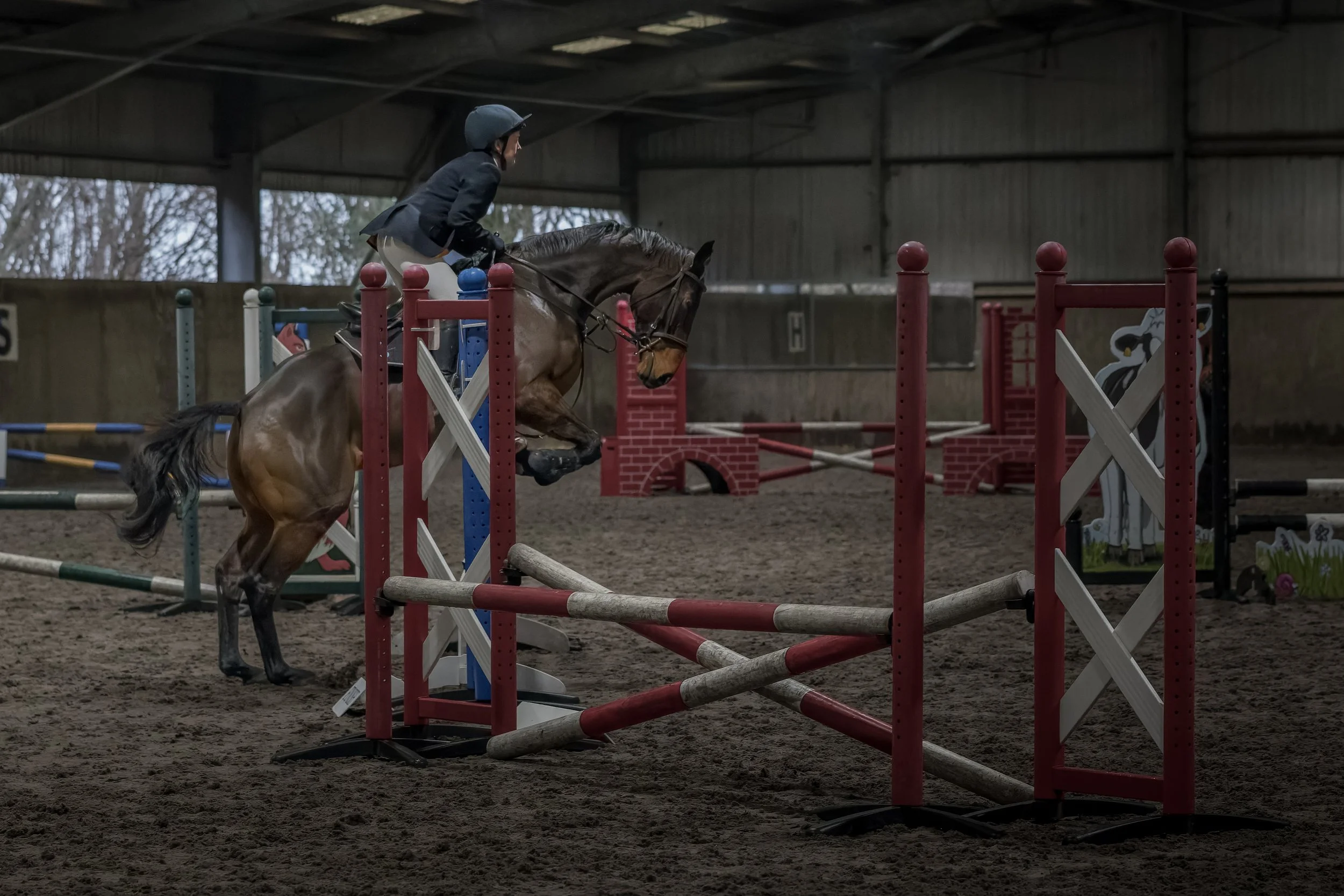 A person riding a horse jumping over an obstacle in an indoor equestrian arena.