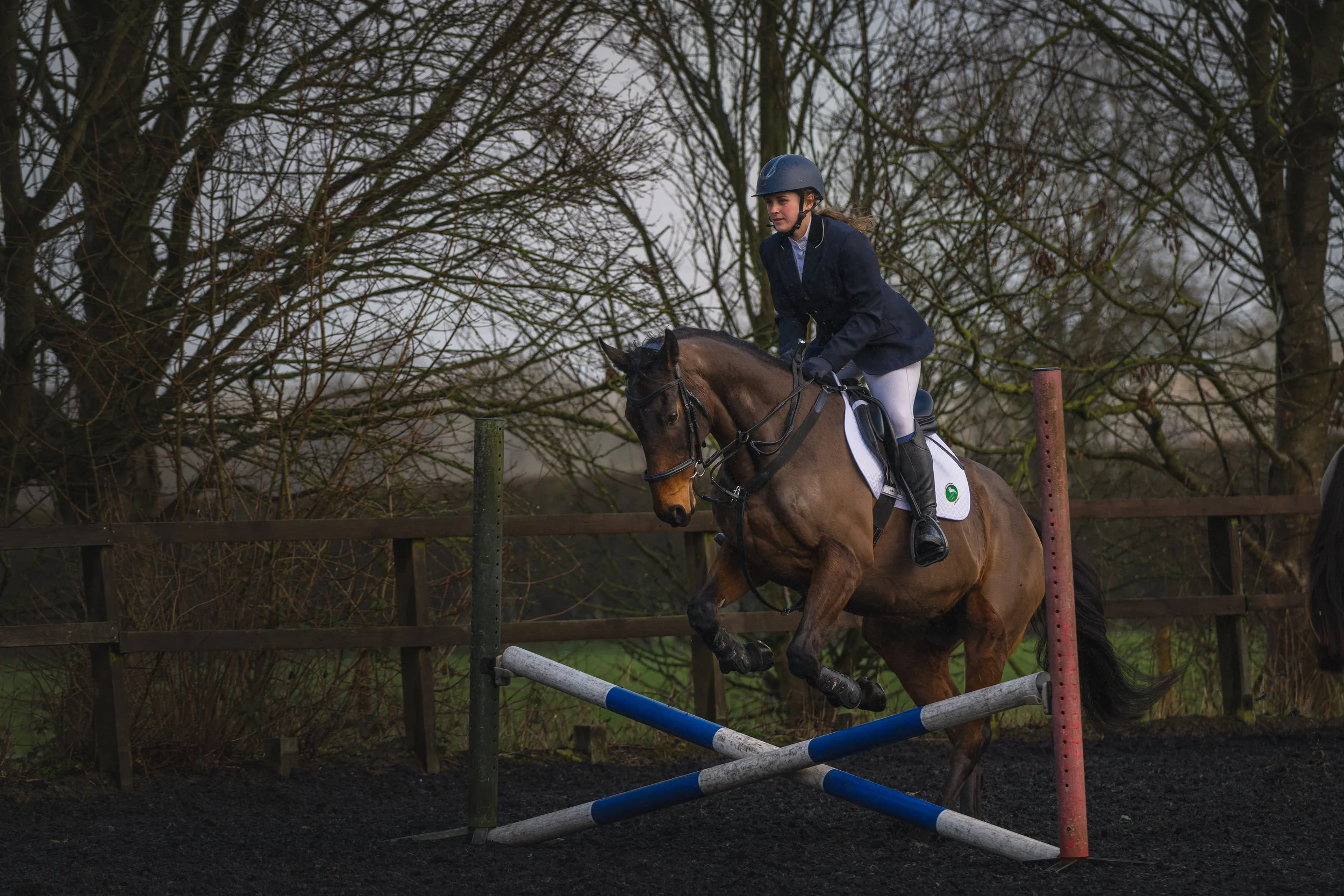 KLO_8523-DxO_DeepPRIME 3.jpg