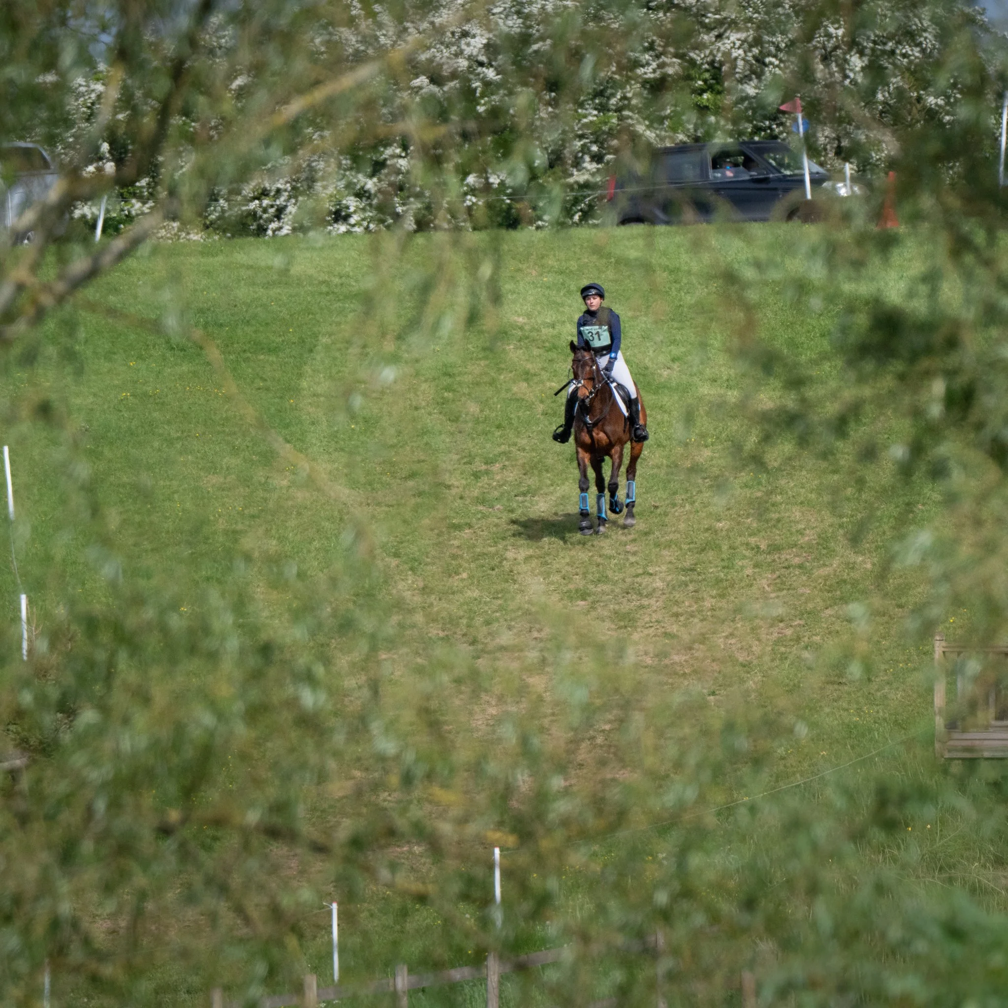 _0Z86611.jpg