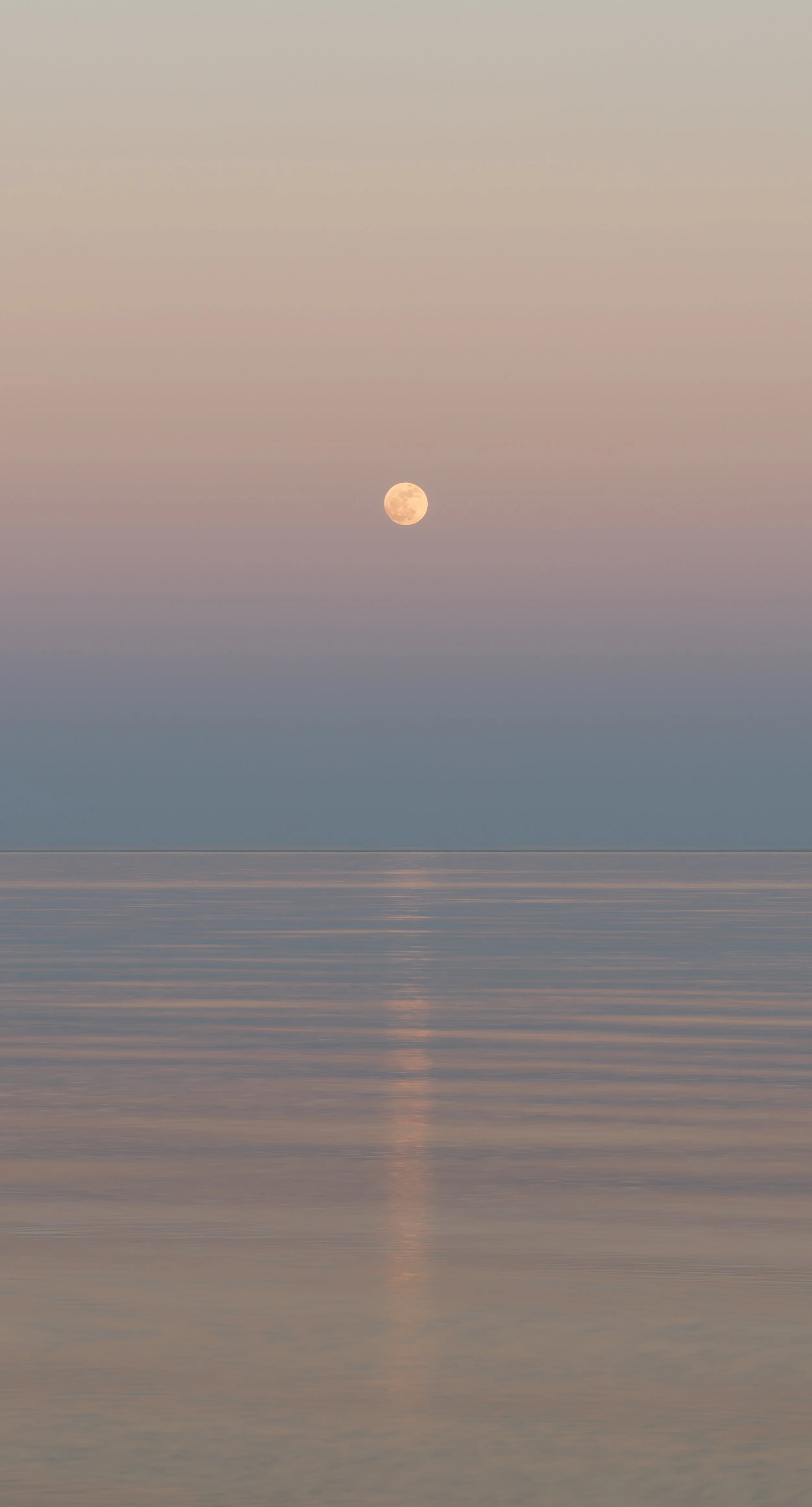 Full moon over calm ocean at dusk with pastel sky.