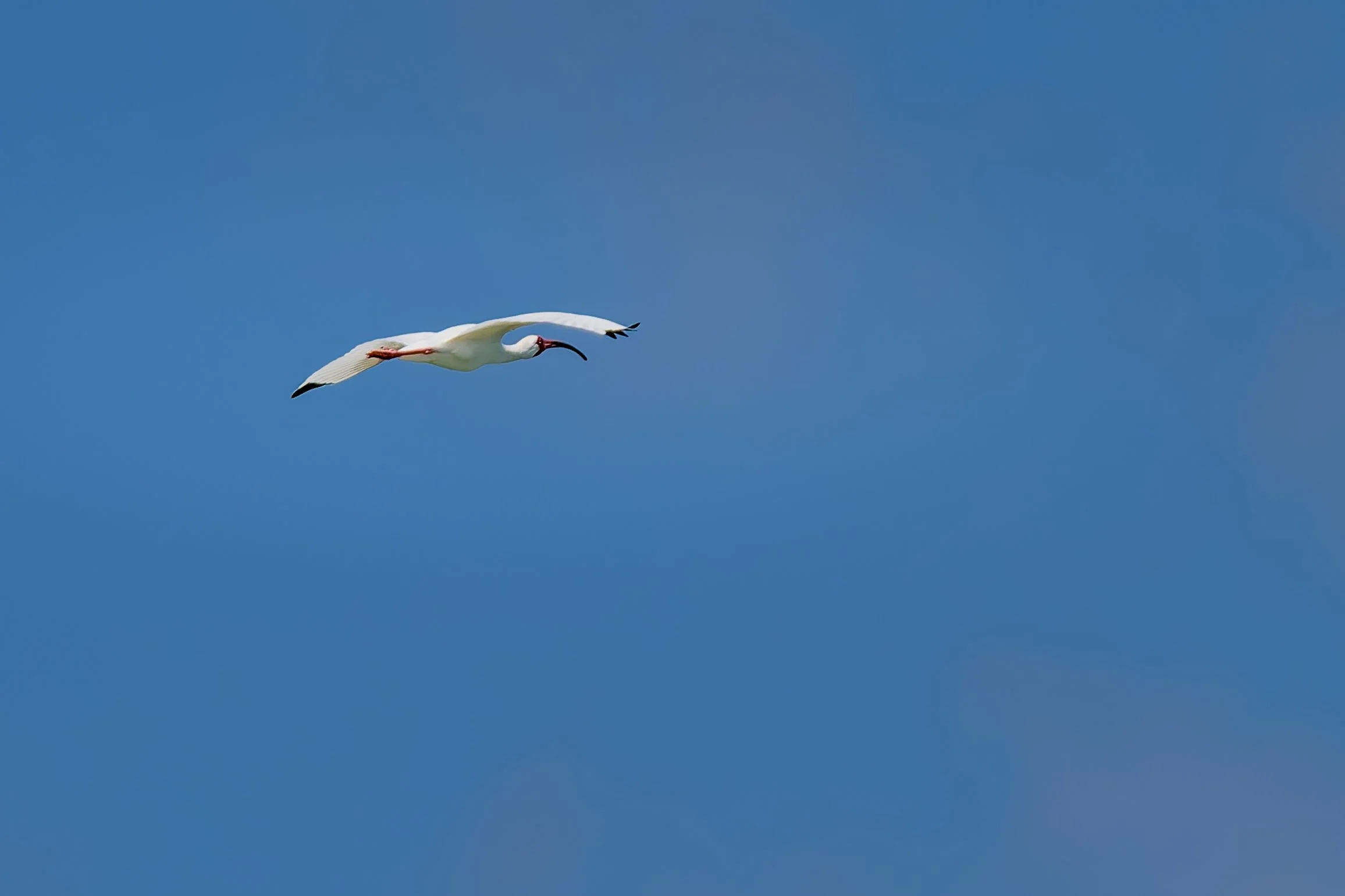 DSC_2100-DxO_DeepPRIME XD3.jpg